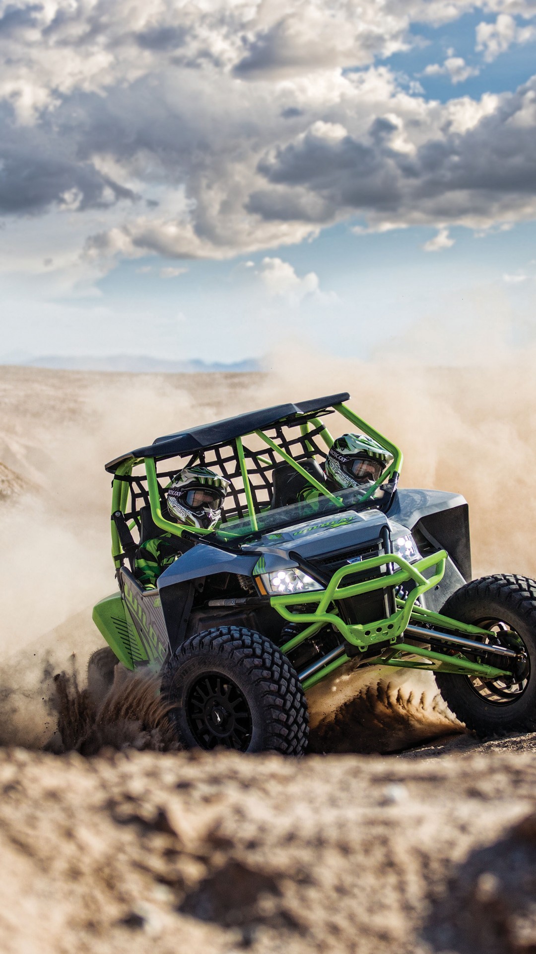 Arctic Cat Wallpapers