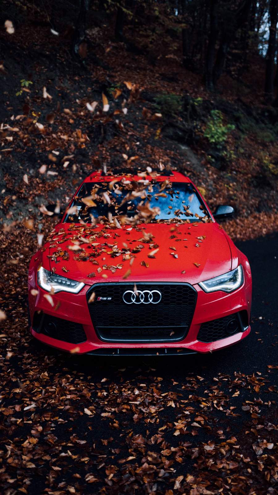 Audi Hd Wallpapers