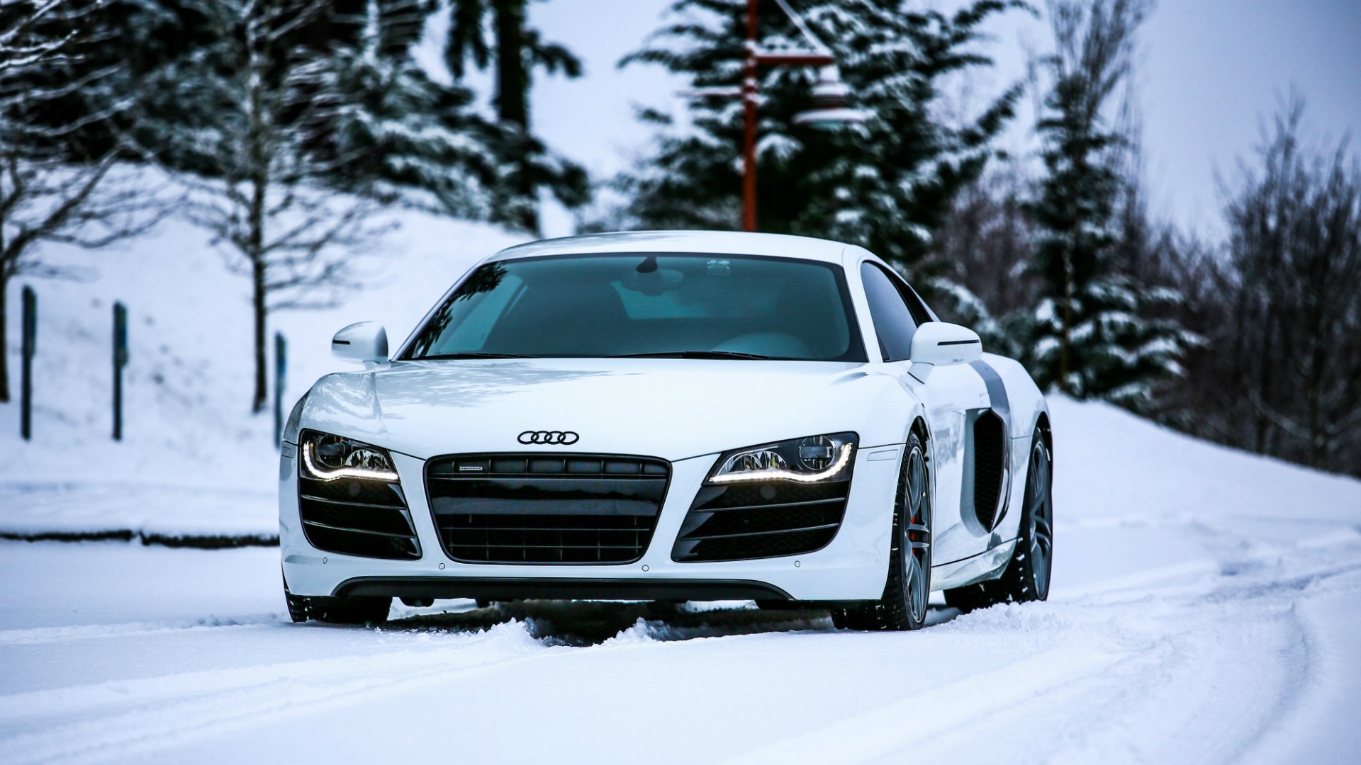 Audi Locus Wallpapers