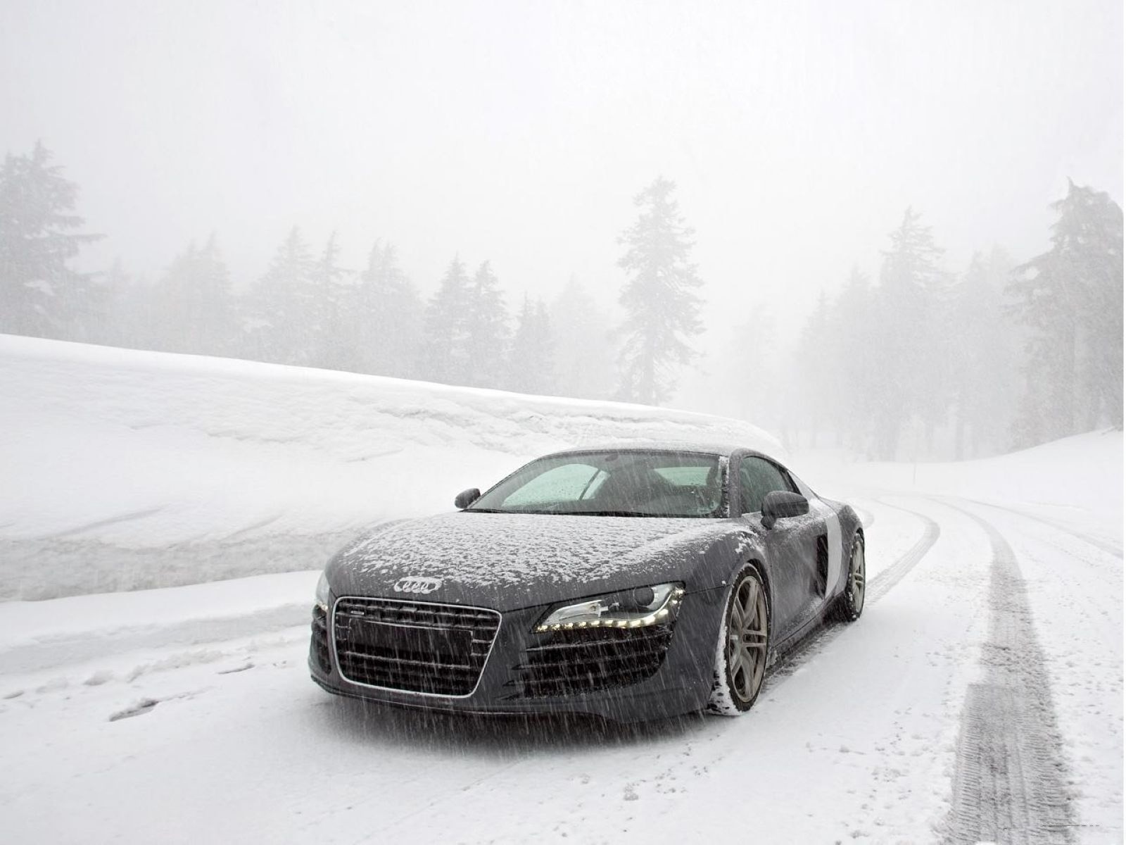 Audi Locus Wallpapers