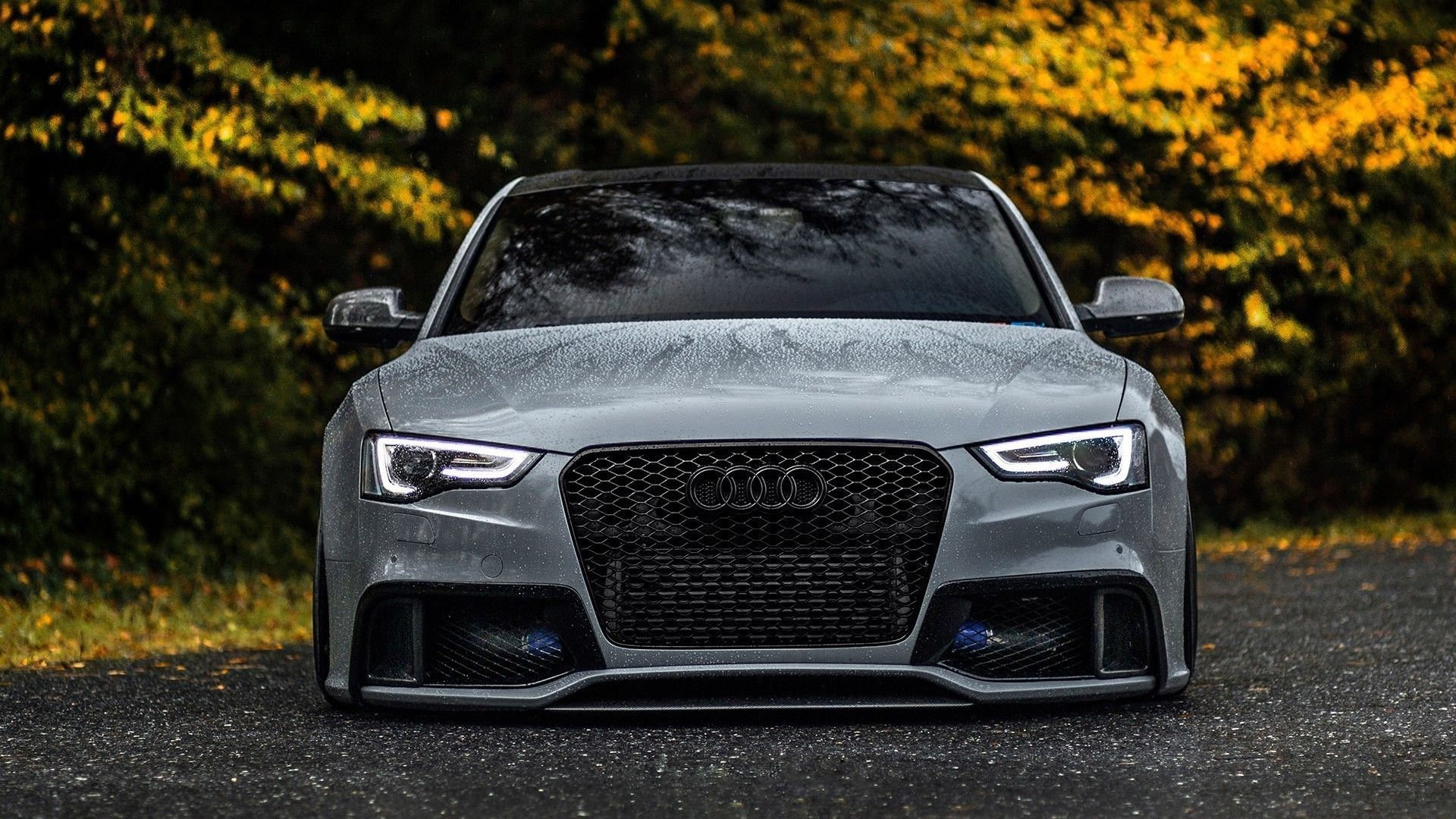 Audi S4 Wallpapers