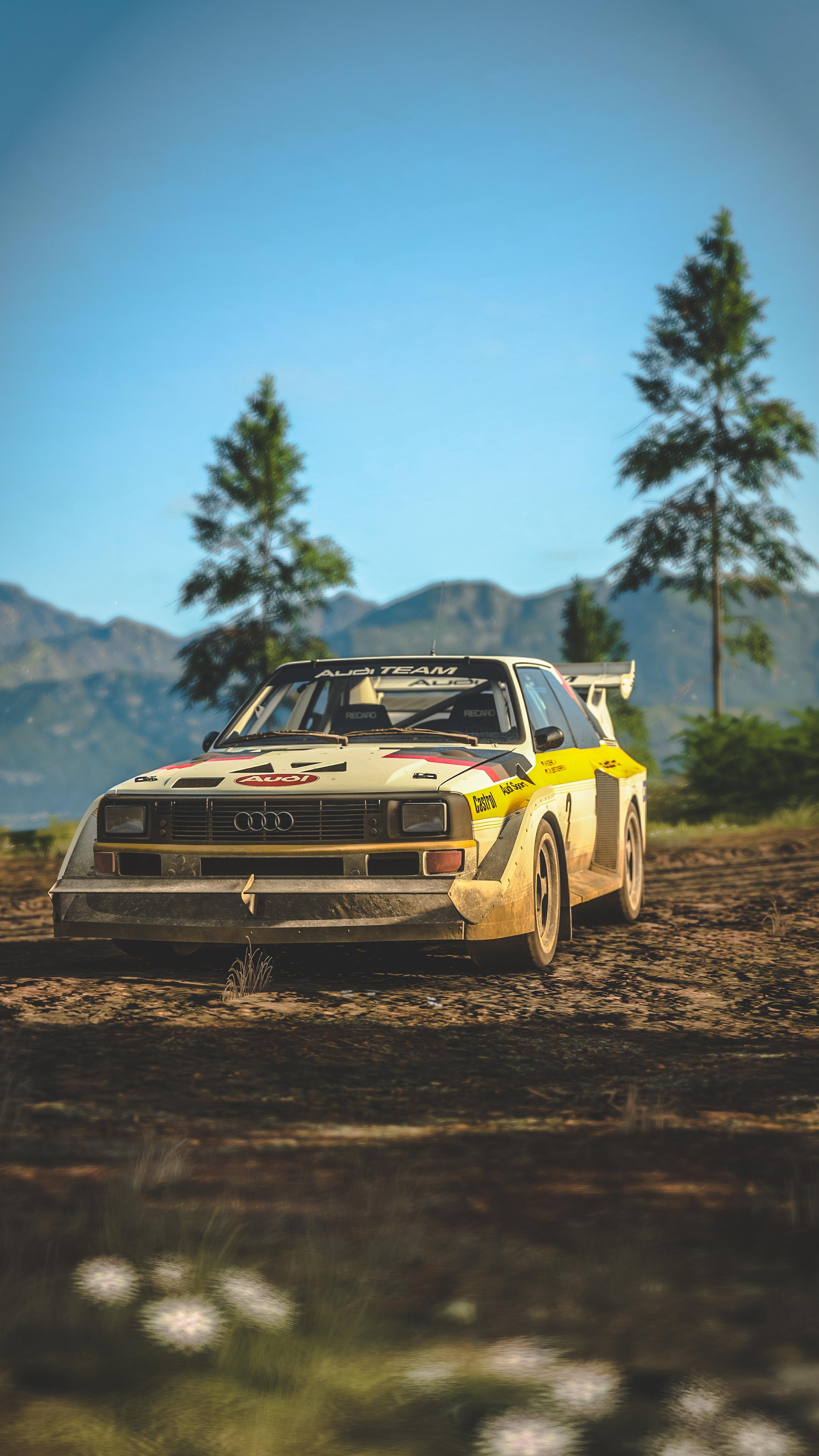 Audi Sport Quattro S1 Wallpapers