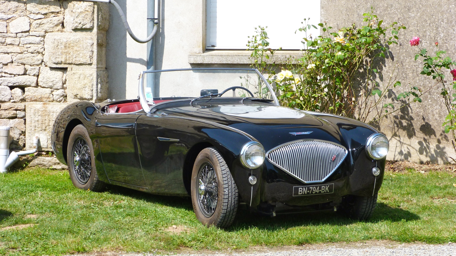 Austin Healey 100 Wallpapers