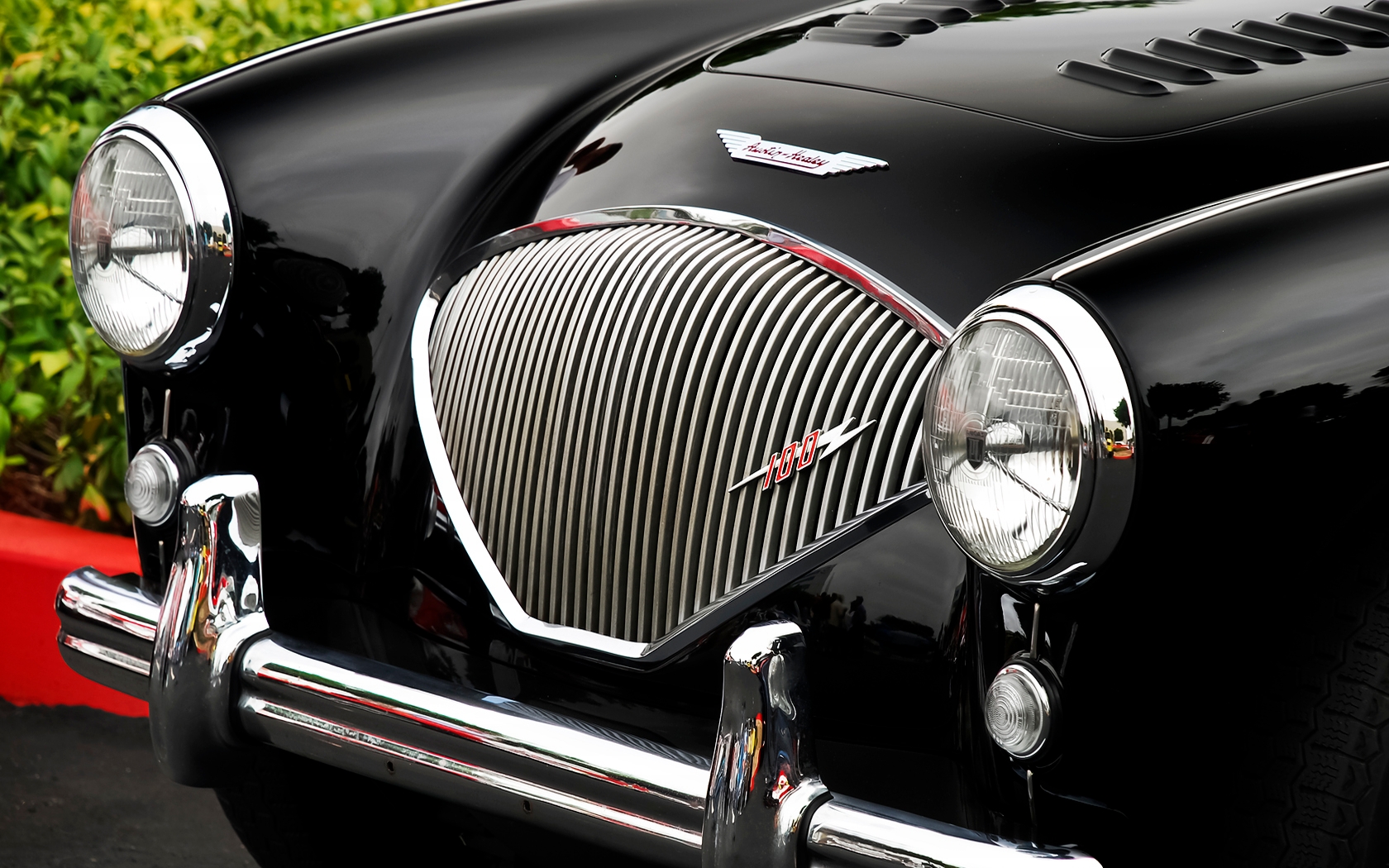 Austin Healey 100 Wallpapers