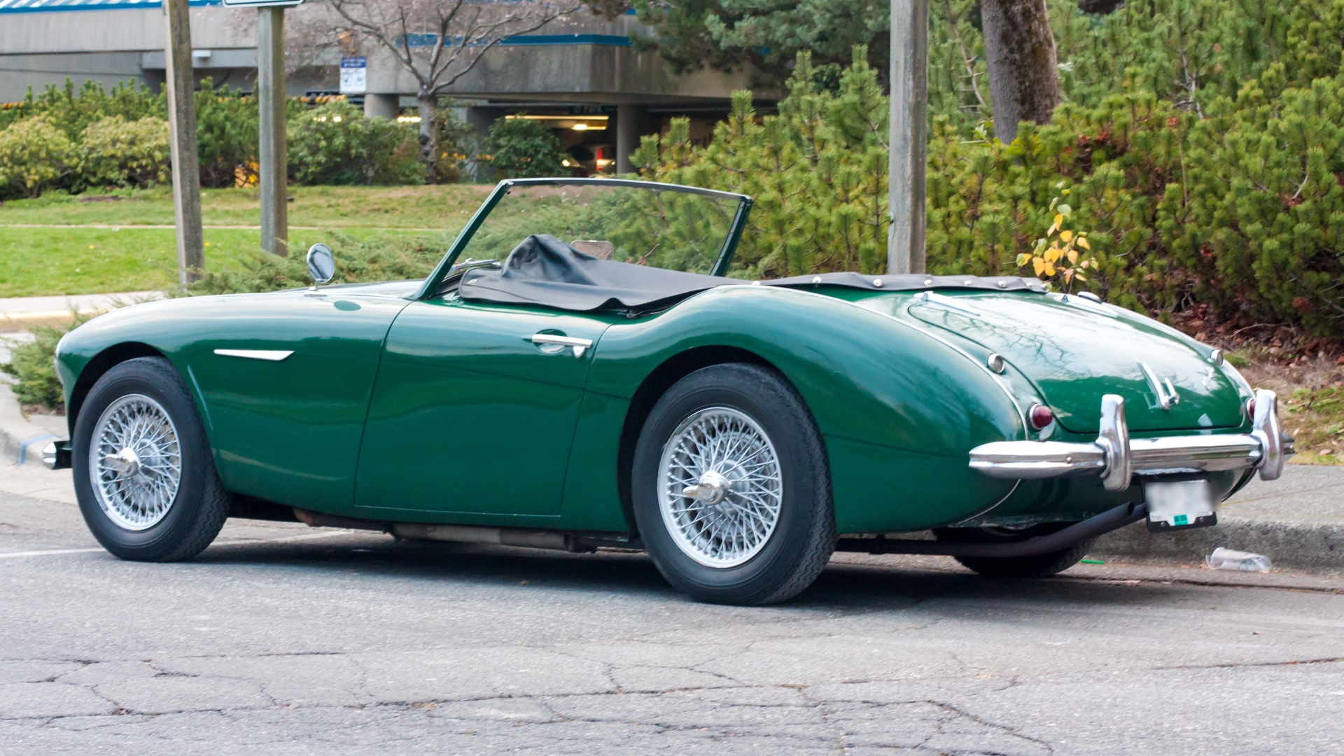 Austin Healey 100 Wallpapers