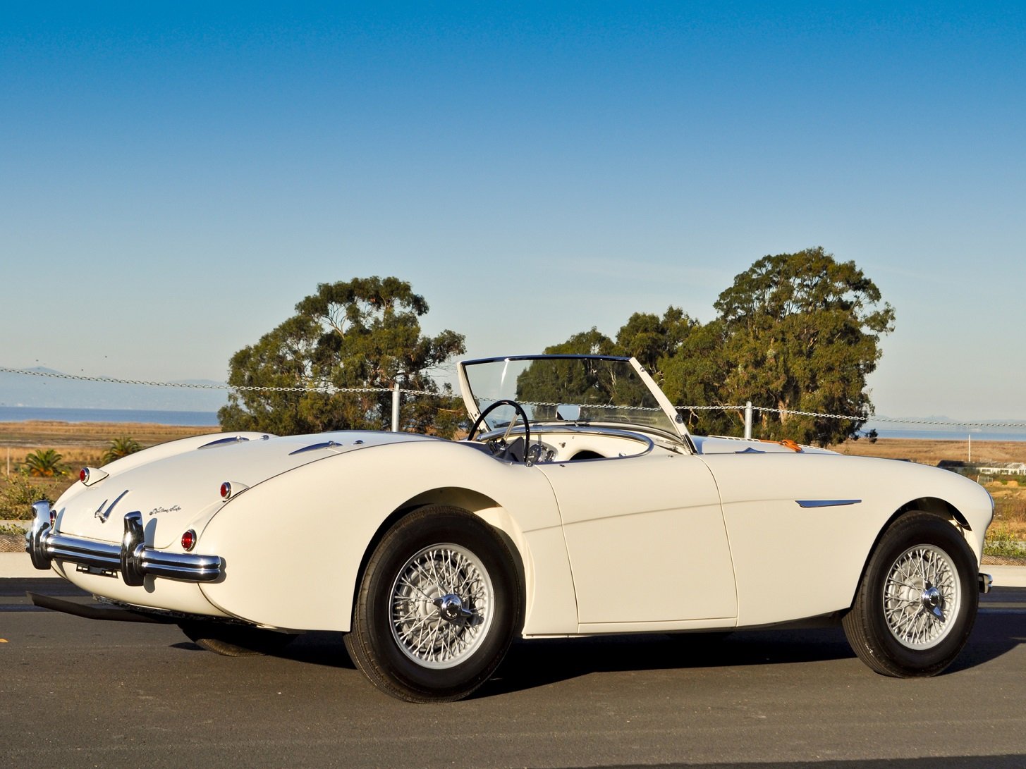 Austin Healey 100 Wallpapers