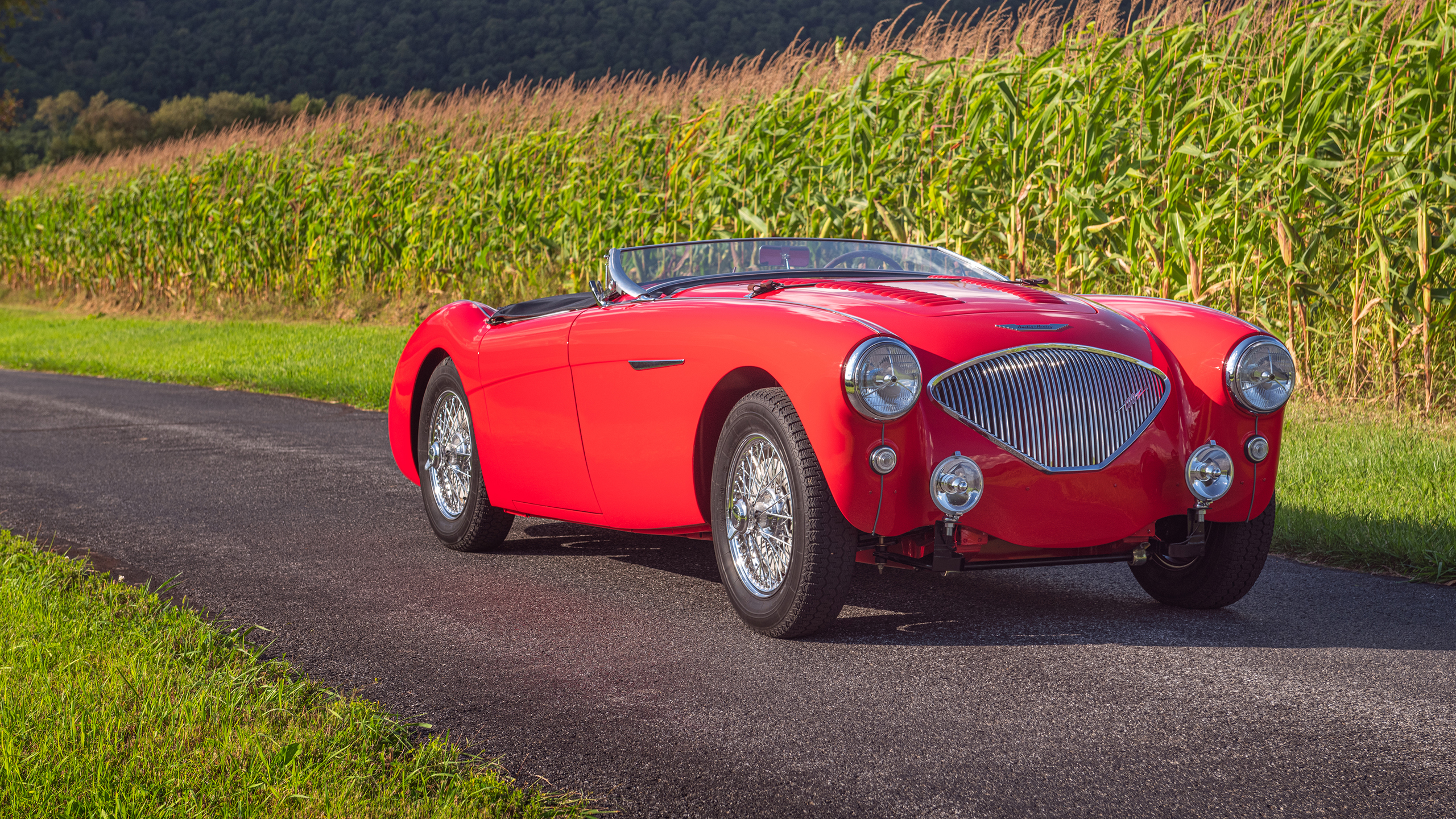 Austin Healey 100 Wallpapers