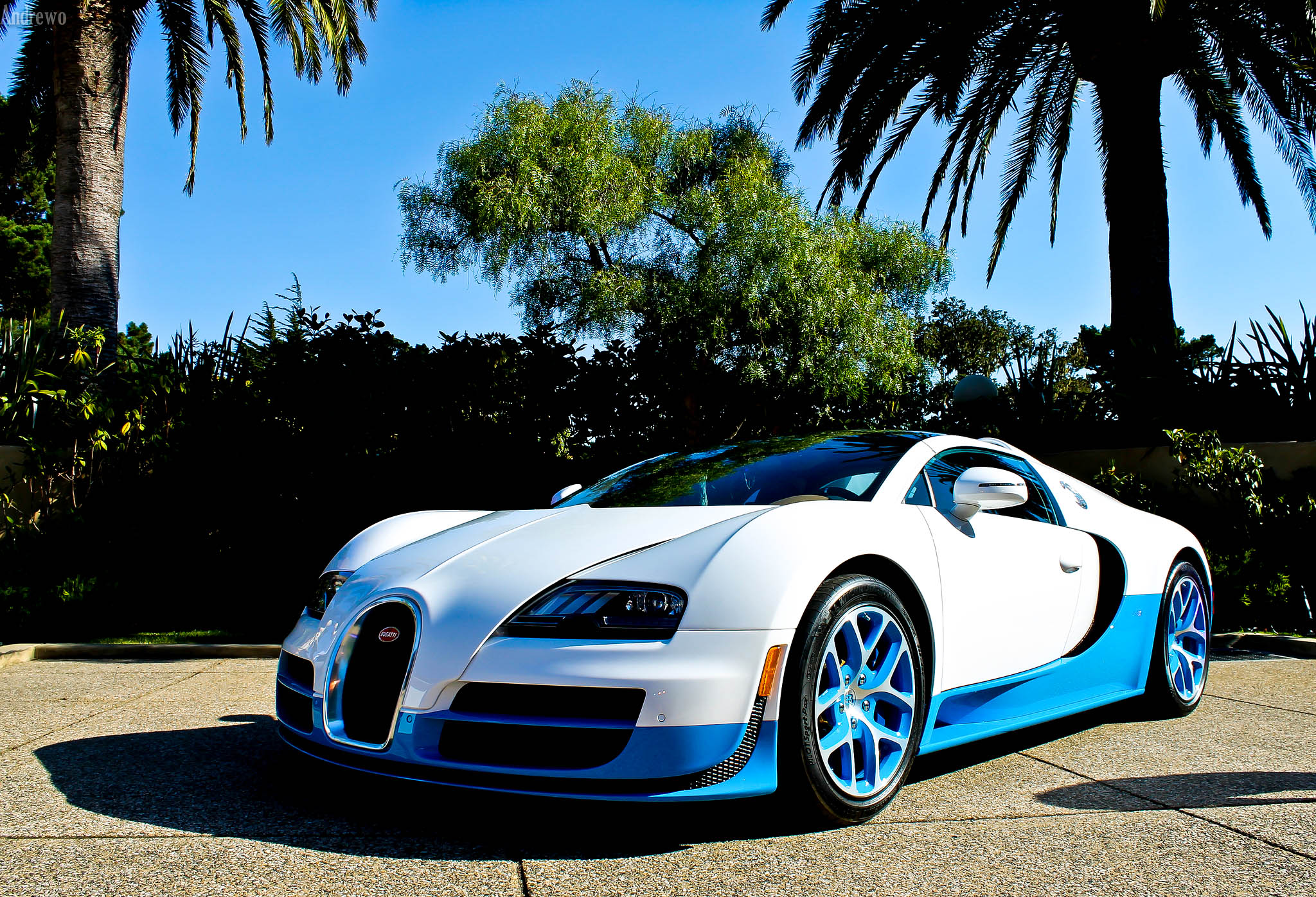 Bugatti Veyron Wallpapers