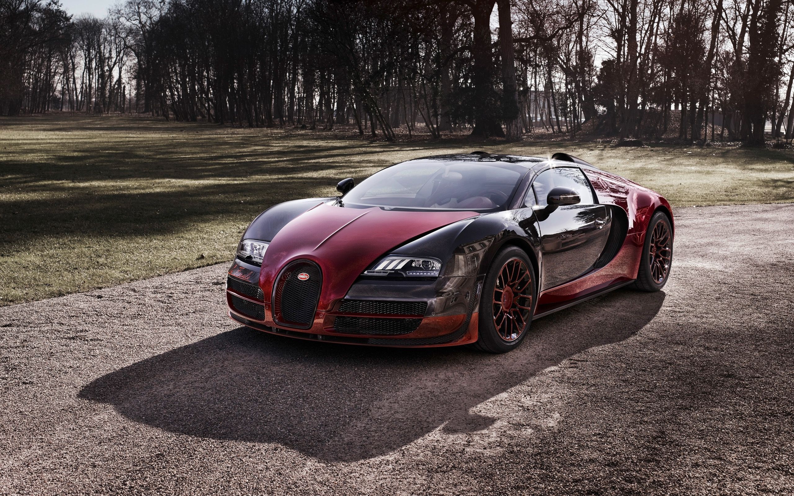 Bugatti Veyron Grand Sport Vitesse Wallpapers