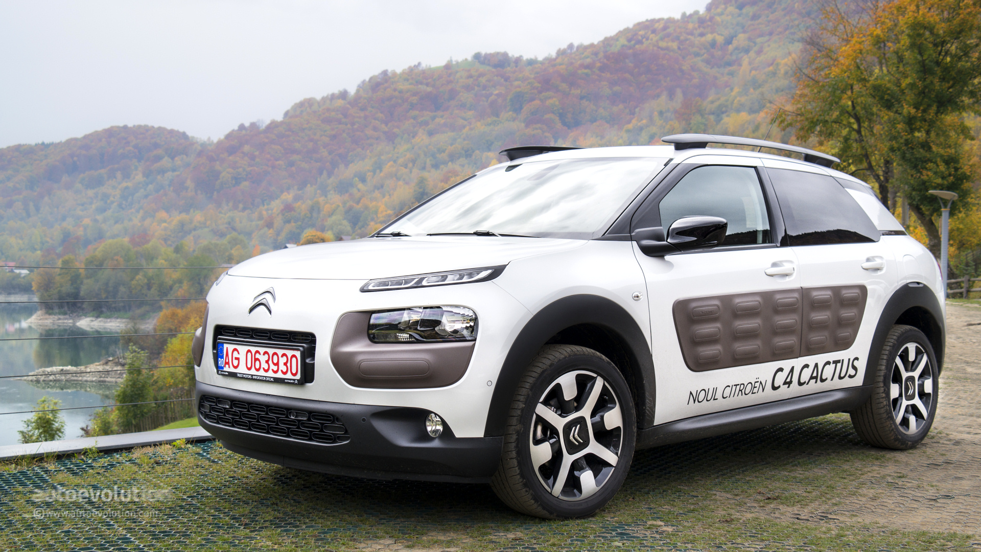 Citroen C4 Cactus Wallpapers