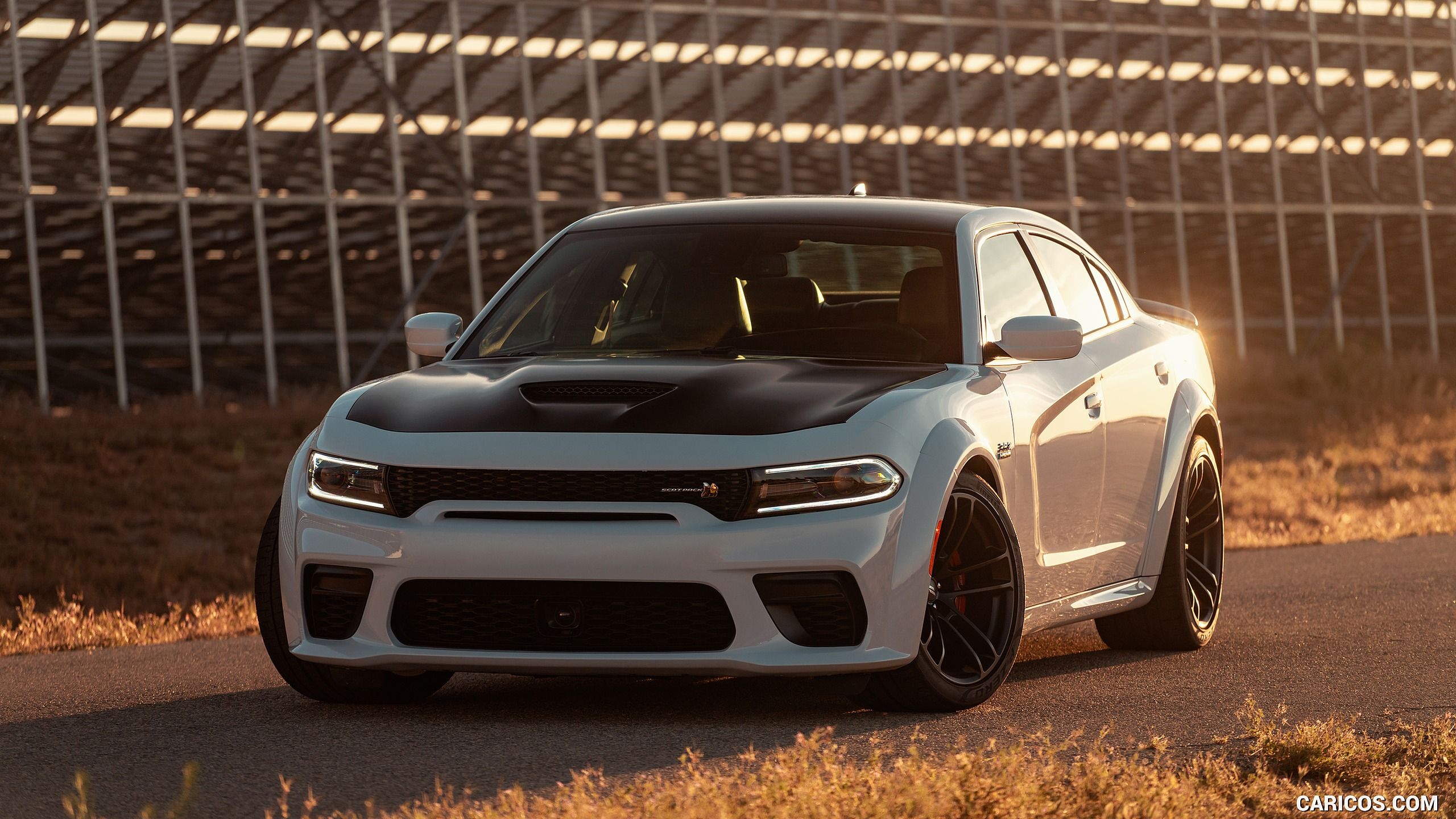 Dodge Charger Scat Pack Widebody Wallpapers