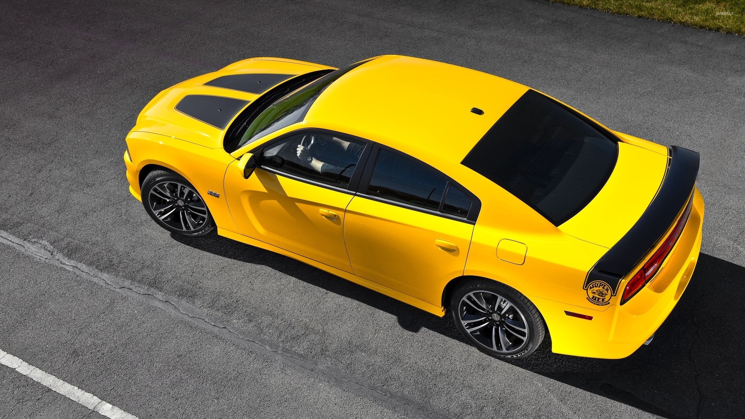 Dodge Charger Super Bee Wallpapers