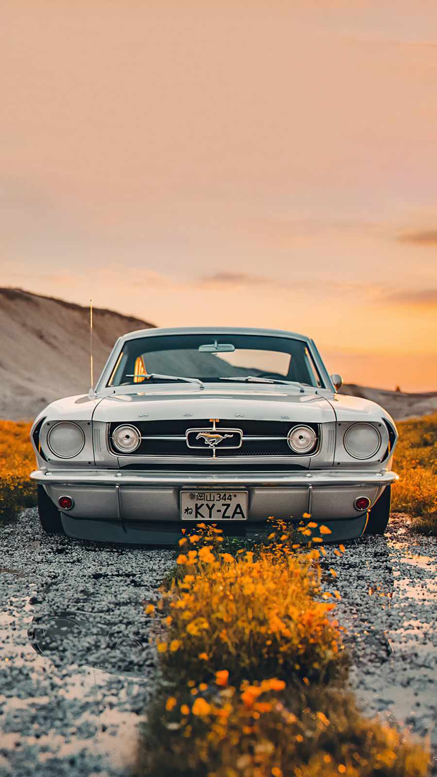 Ford Wallpapers