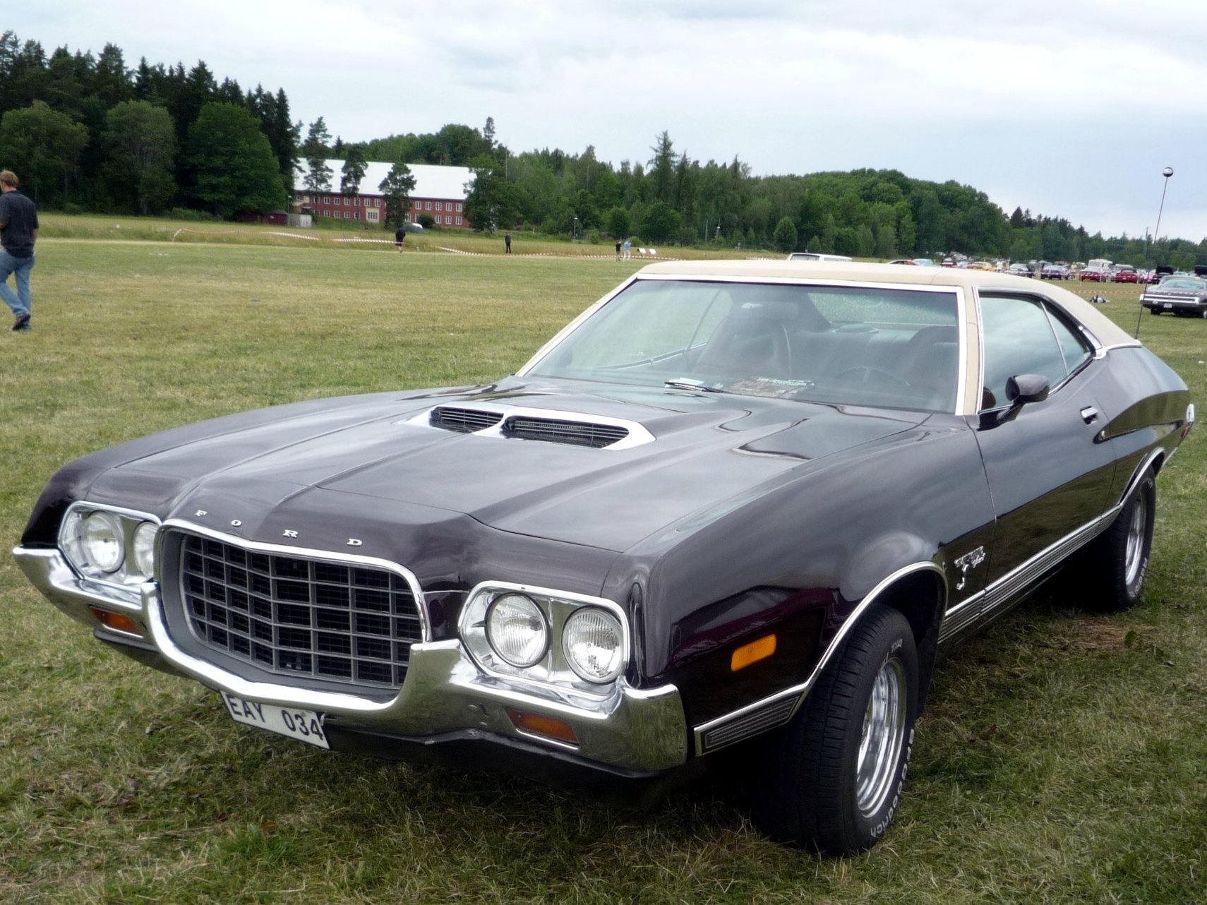 Ford Gran Torino Sport Wallpapers