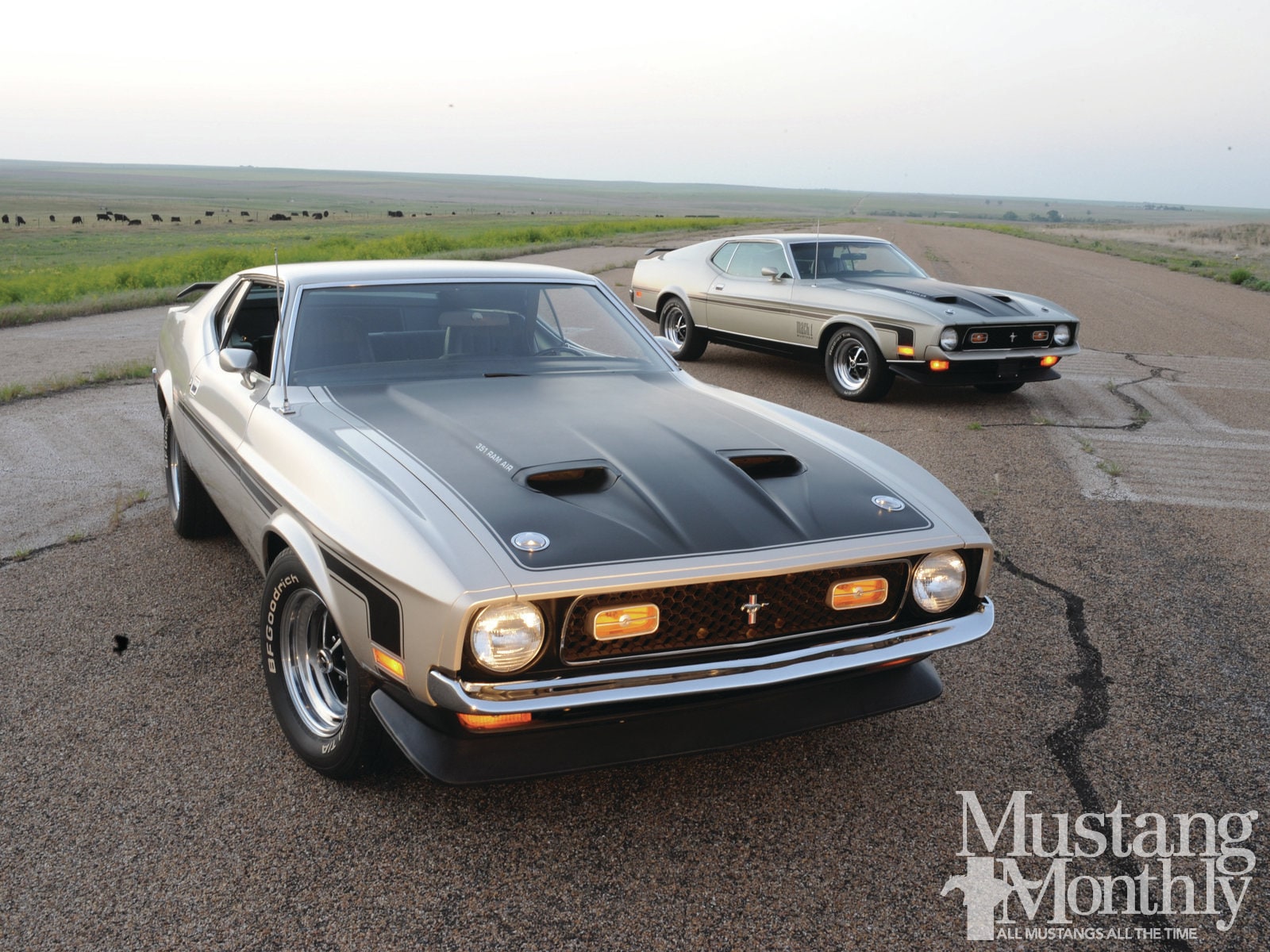 Ford Mustang Boss 351 Wallpapers