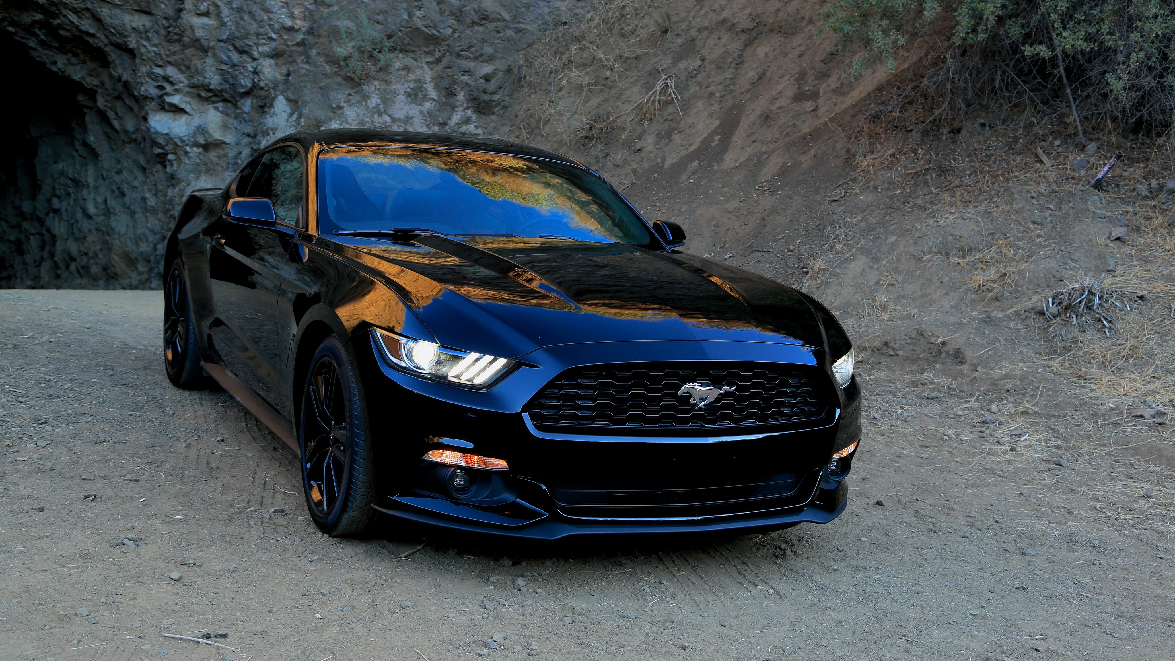 Ford Mustang Ecoboost Wallpapers