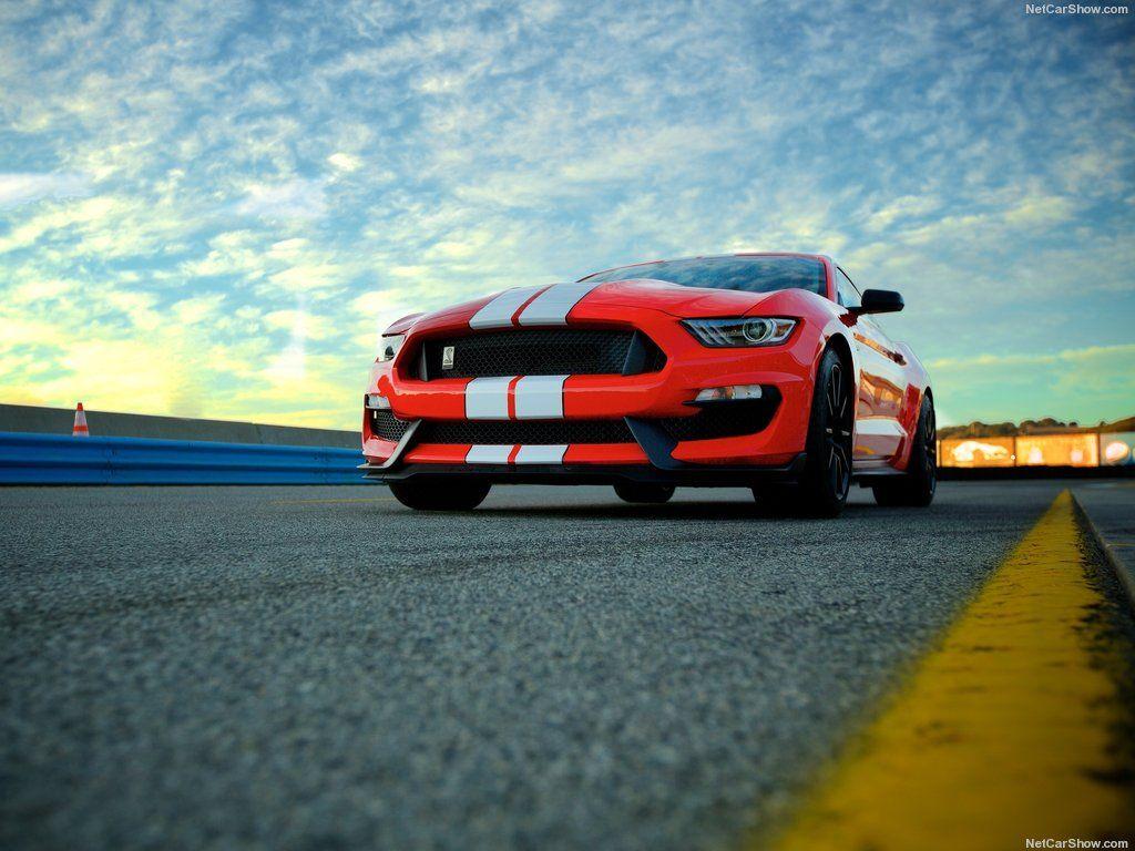 Ford Mustang Shelby Gt350 Wallpapers