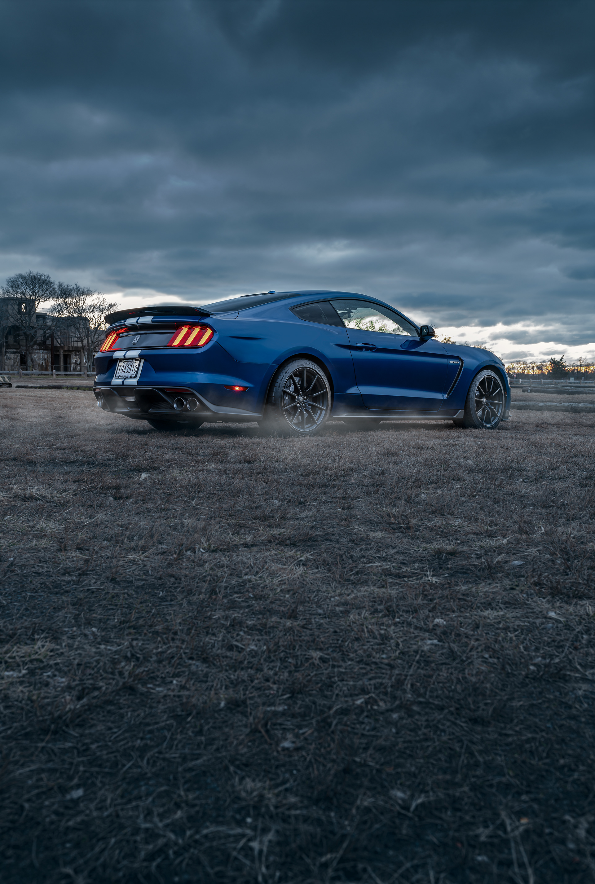 Ford Mustang Shelby Gt350 Wallpapers