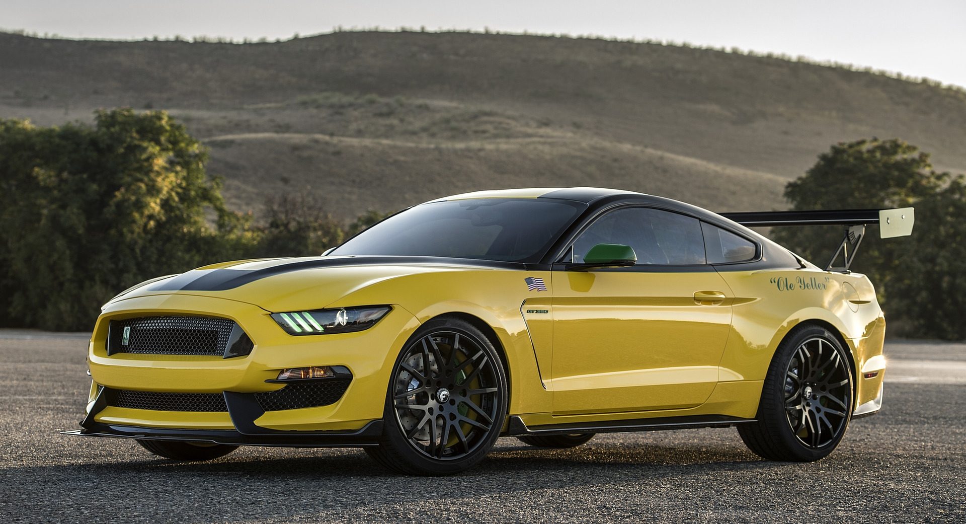 Ford Mustang Shelby Gt350 Wallpapers