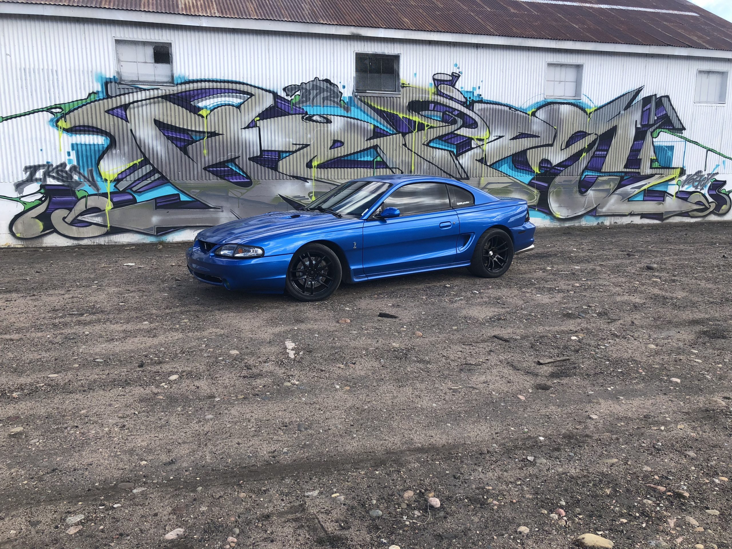 Ford Mustang Svt Cobra Wallpapers