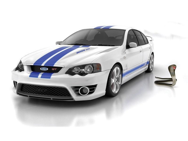 Fpv Cobra Wallpapers