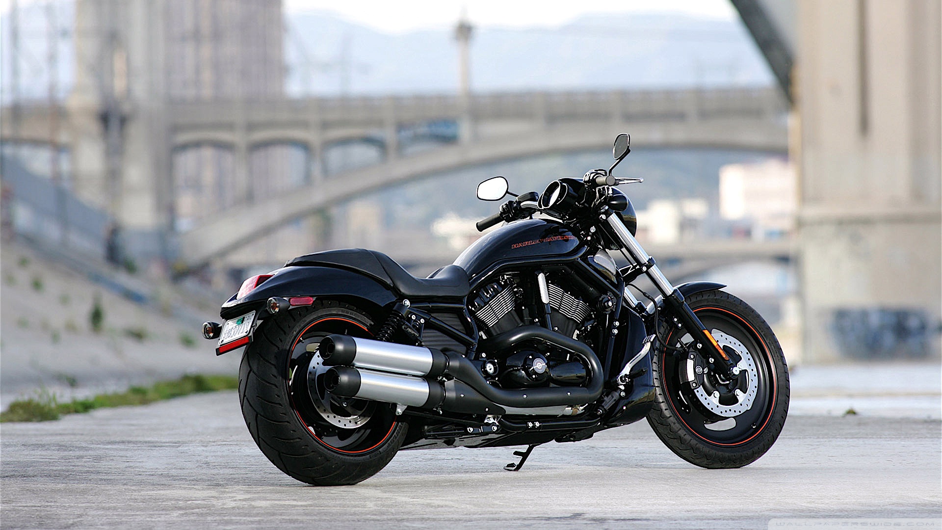 Harley-Davidson Night Rod Wallpapers