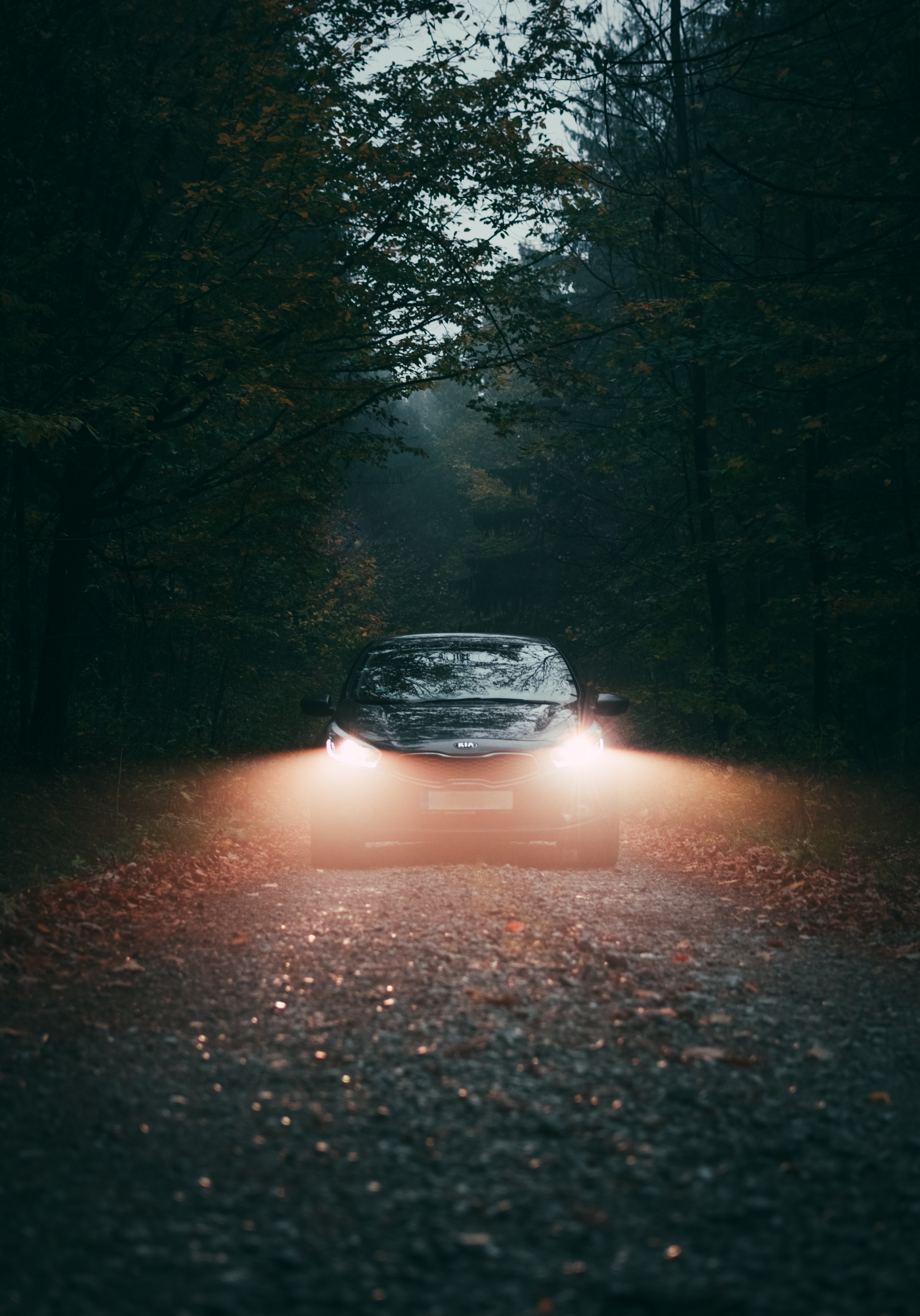 Head Light Wallpapers