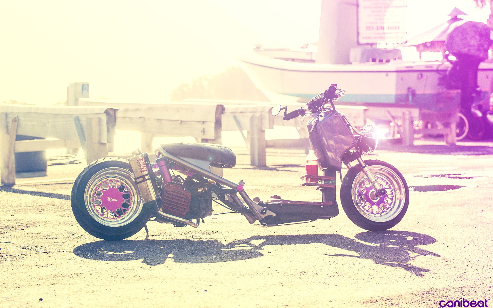 Honda Ruckus Wallpapers