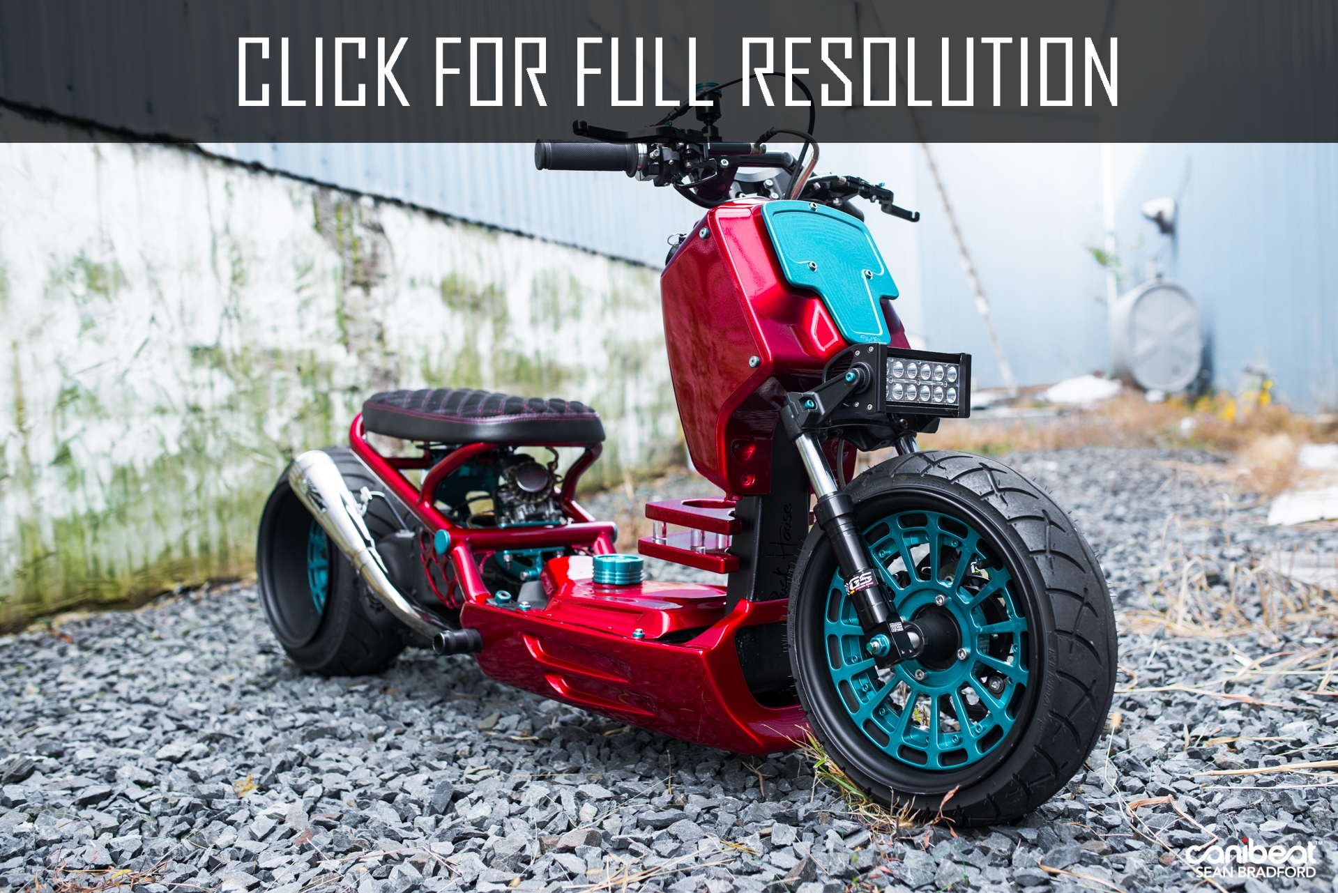 Honda Ruckus Wallpapers