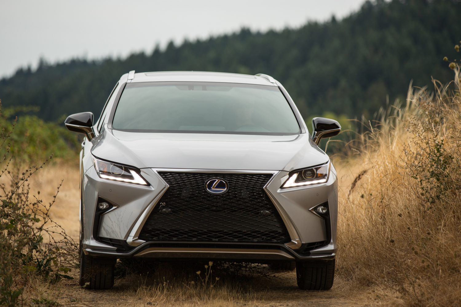 Lexus Rx 450H F Sport Wallpapers