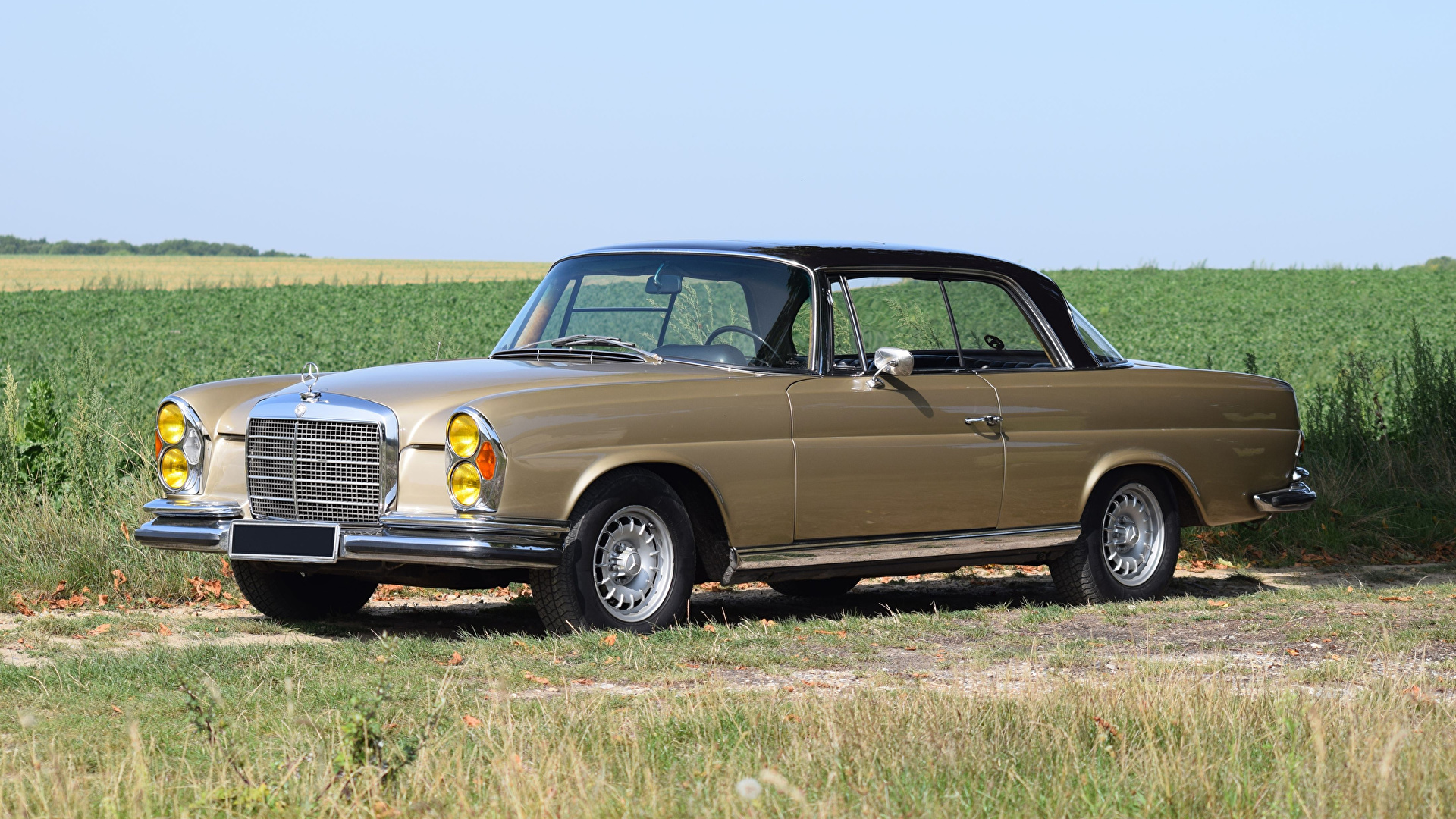 Mercedes-Benz 280Se Wallpapers