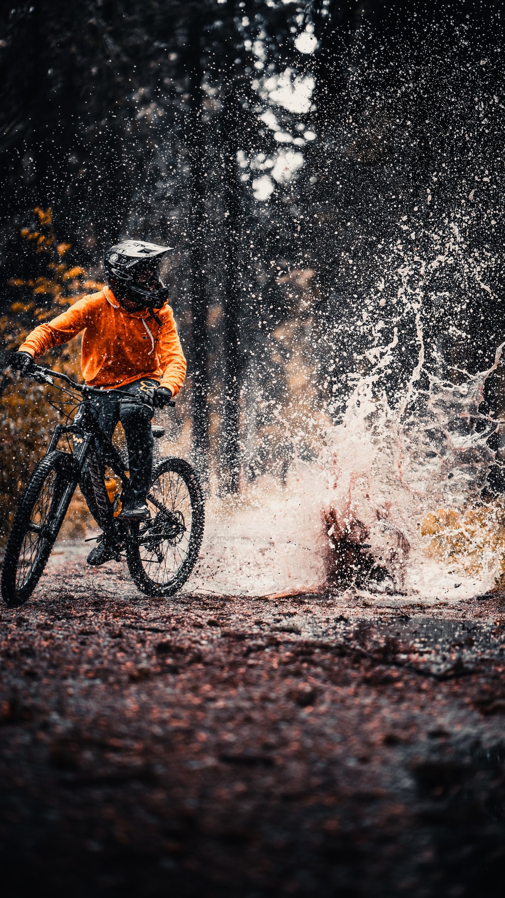 Mountainbike Wallpapers