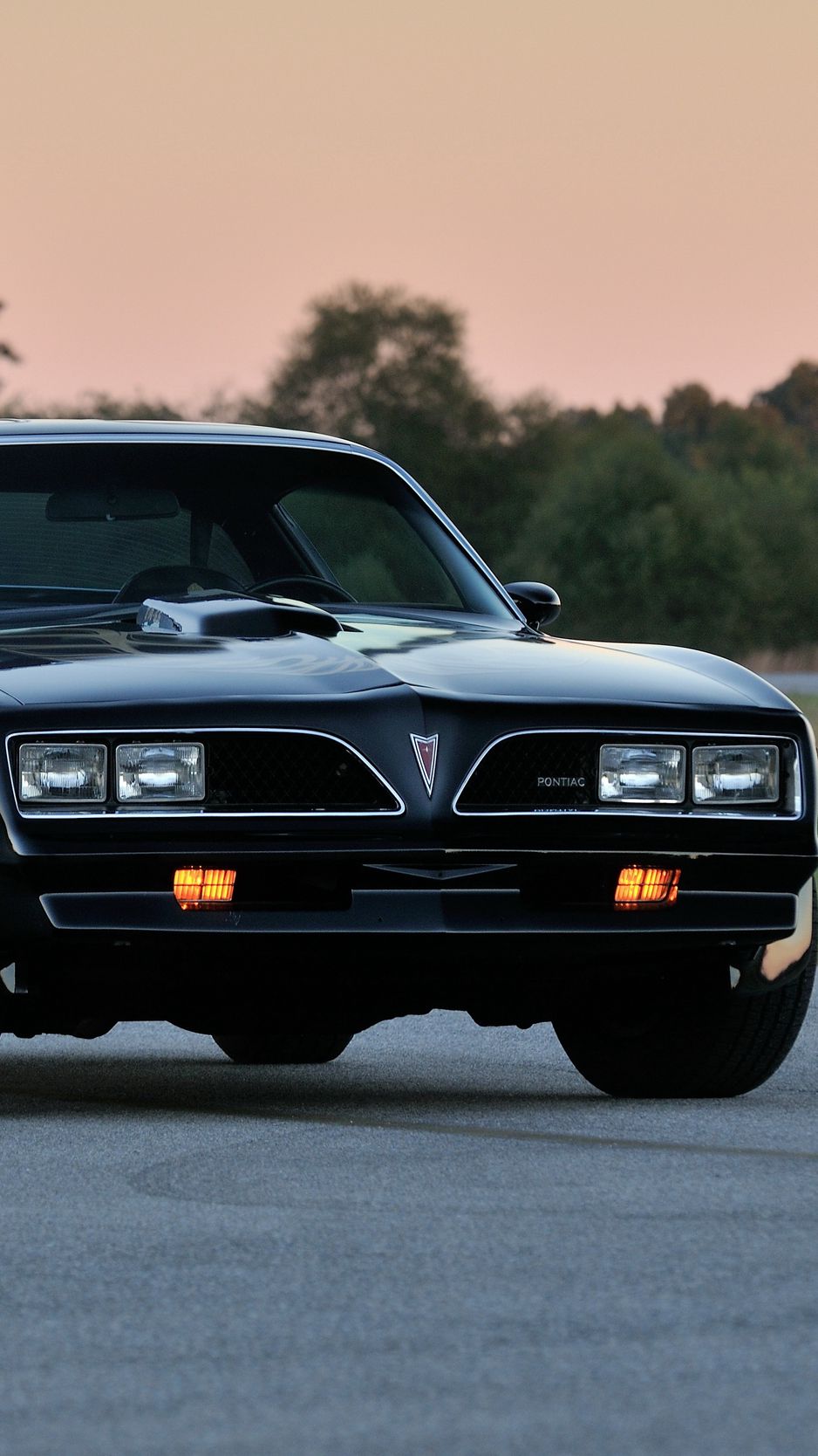 Pontiac Firebird Wallpapers