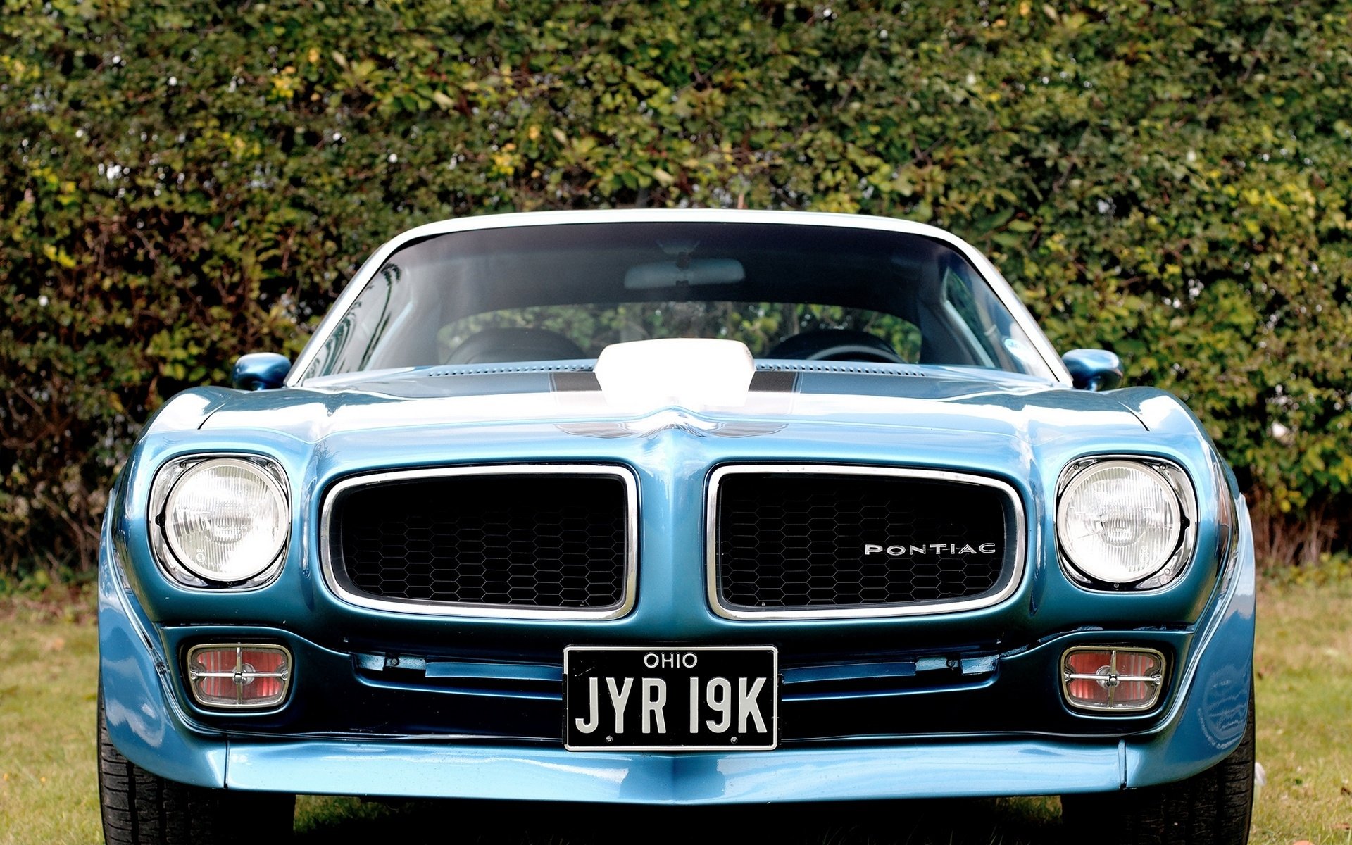 Pontiac Firebird Wallpapers