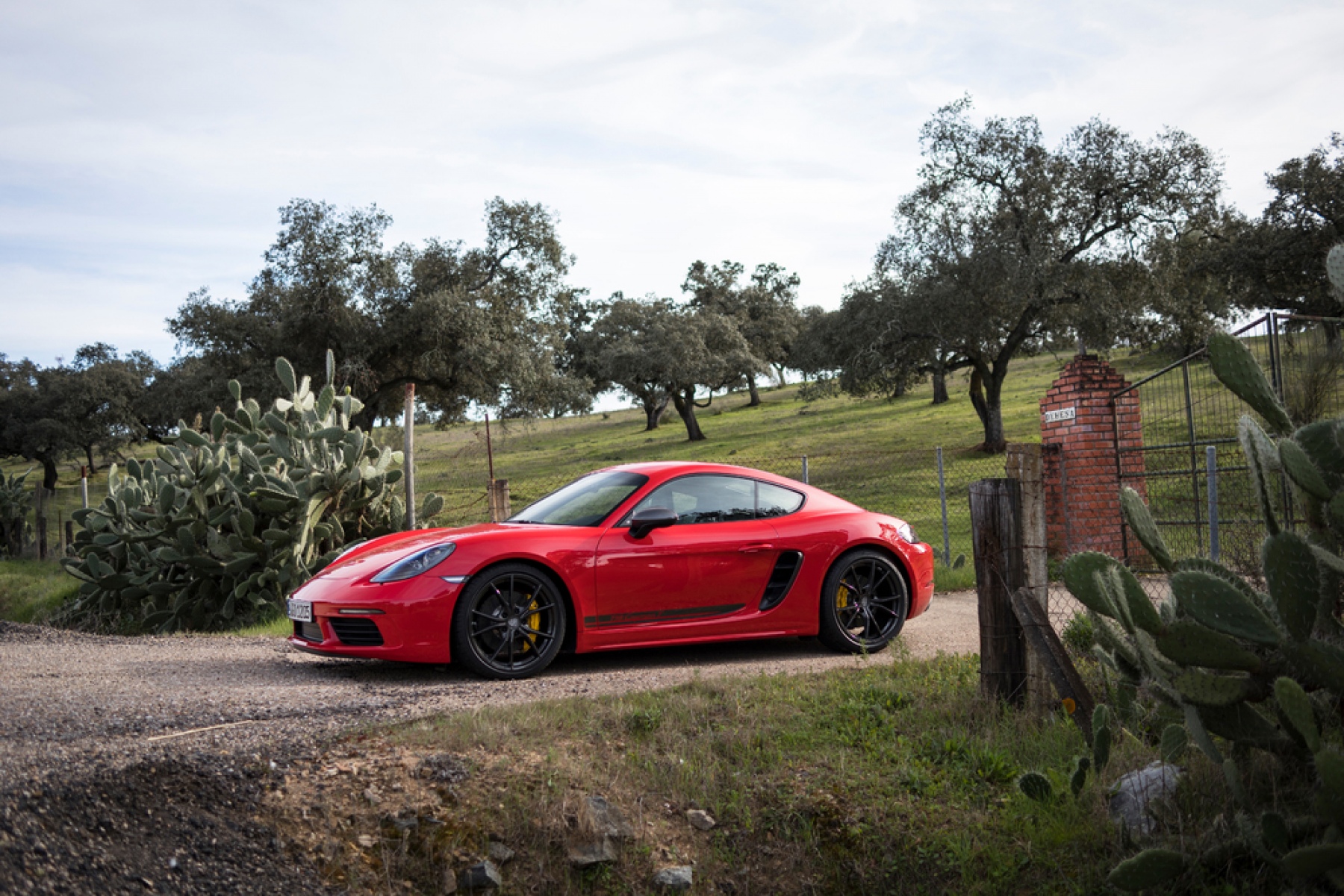 Porsche 718 Cayman T Wallpapers