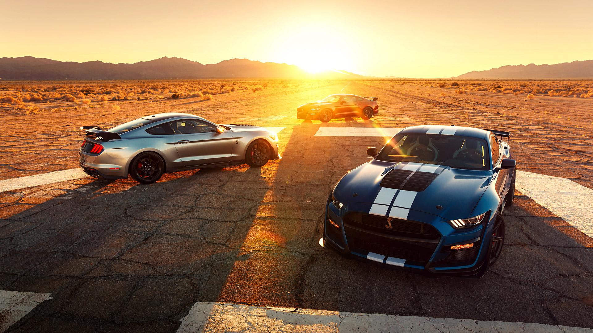 Shelby Wallpapers