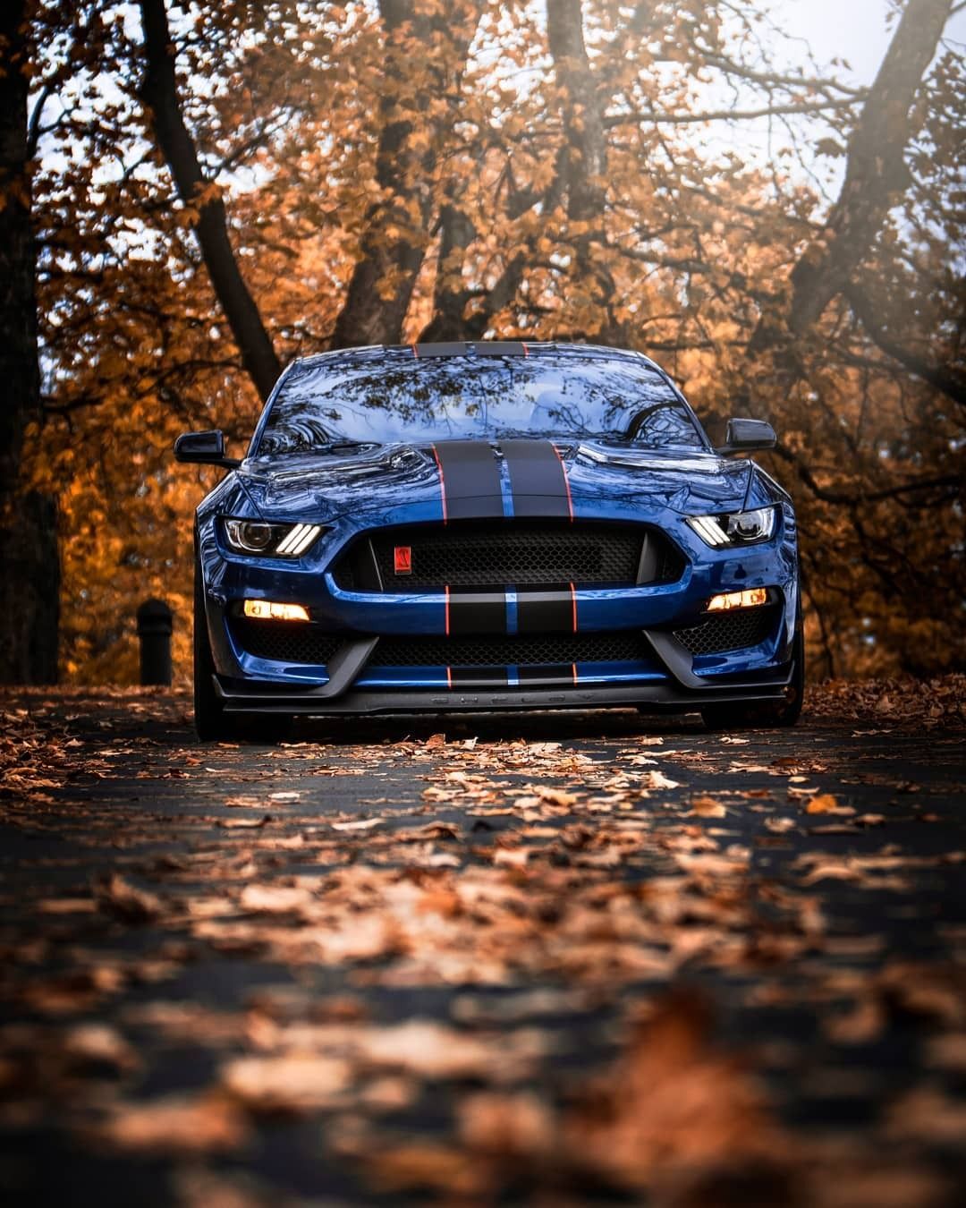 Shelby Gt350 Wallpapers