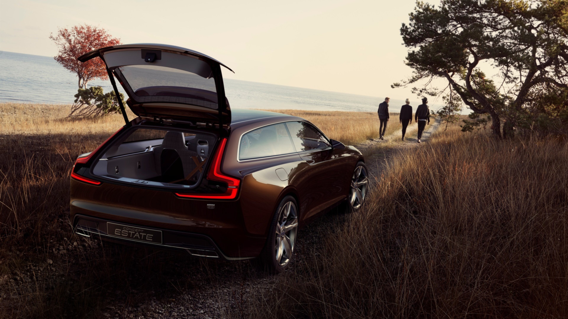 Volvo Estate Concept Wallpapers