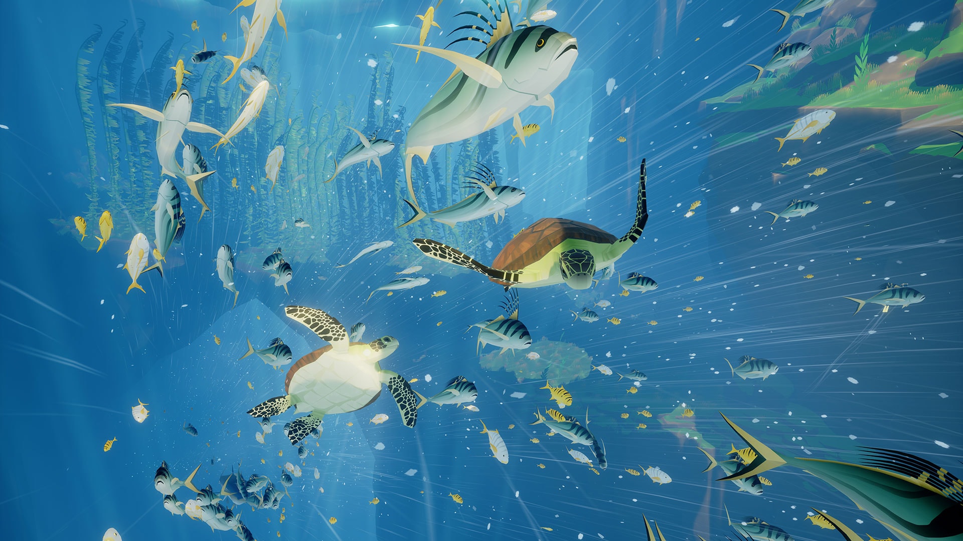 Abzu Wallpapers