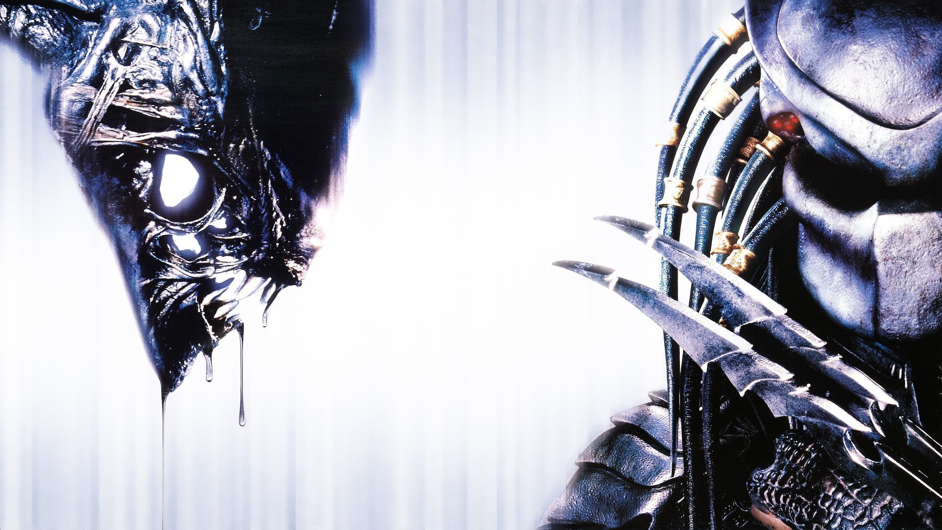 Aliens Vs. Predator Wallpapers