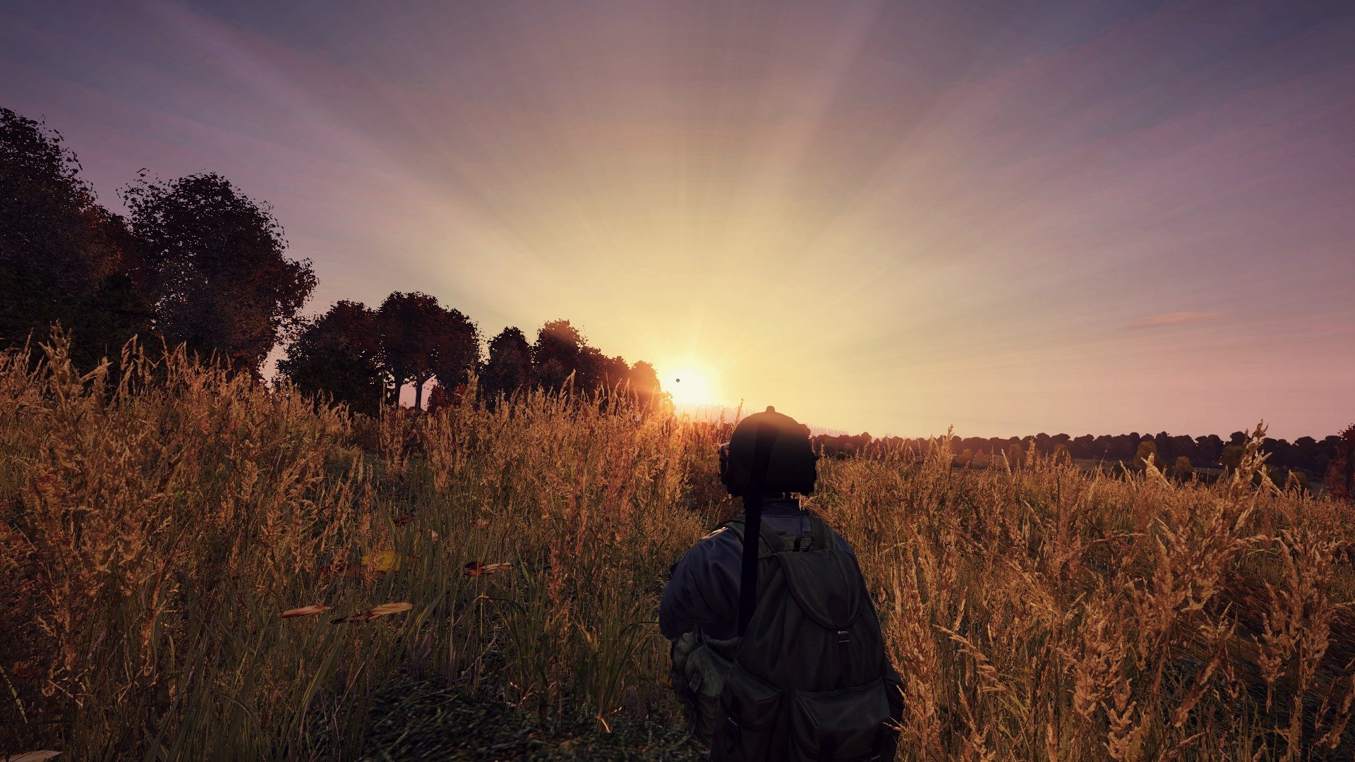 DayZ Wallpapers