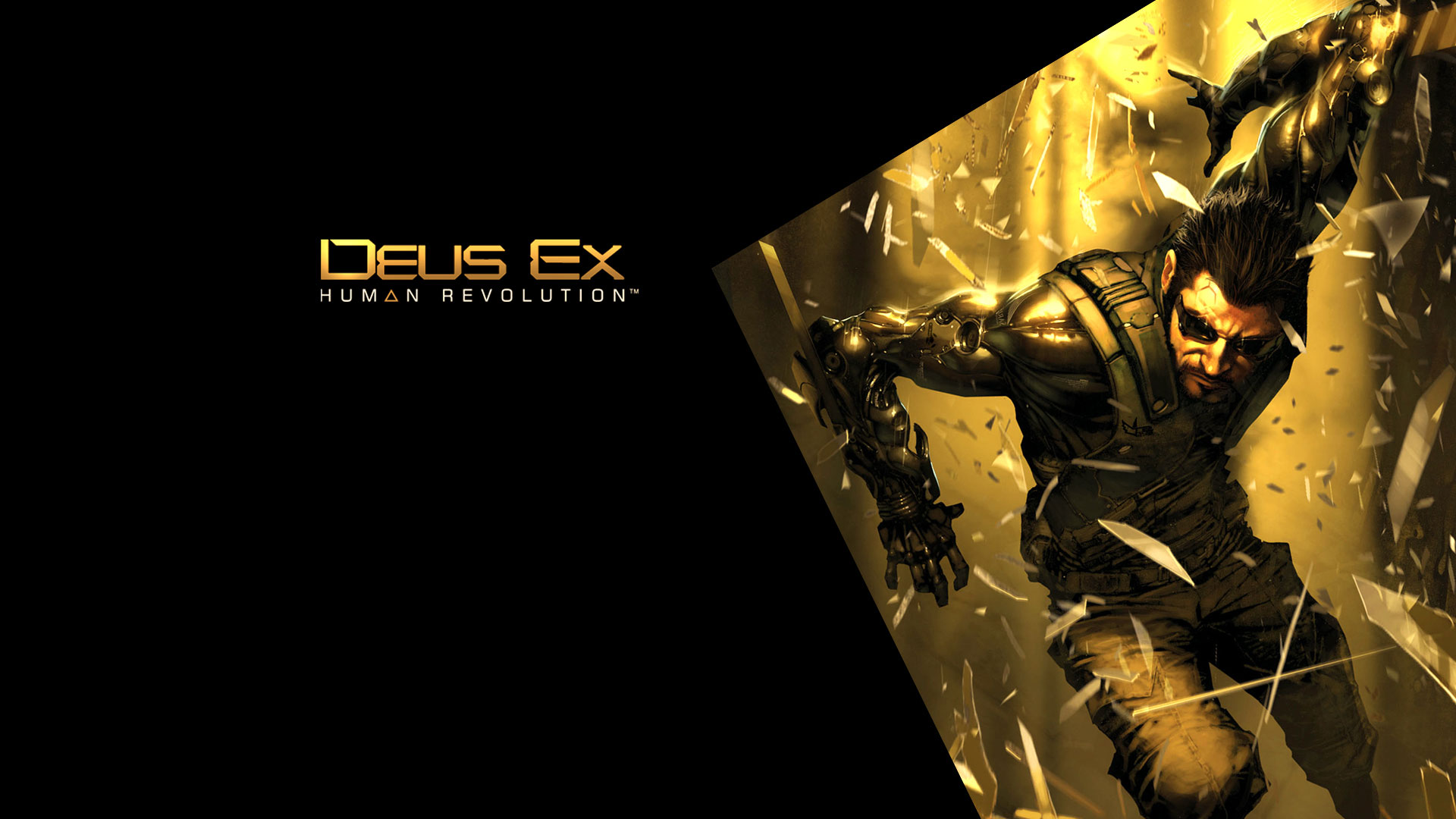 Deus Ex: Human Revolution Wallpapers