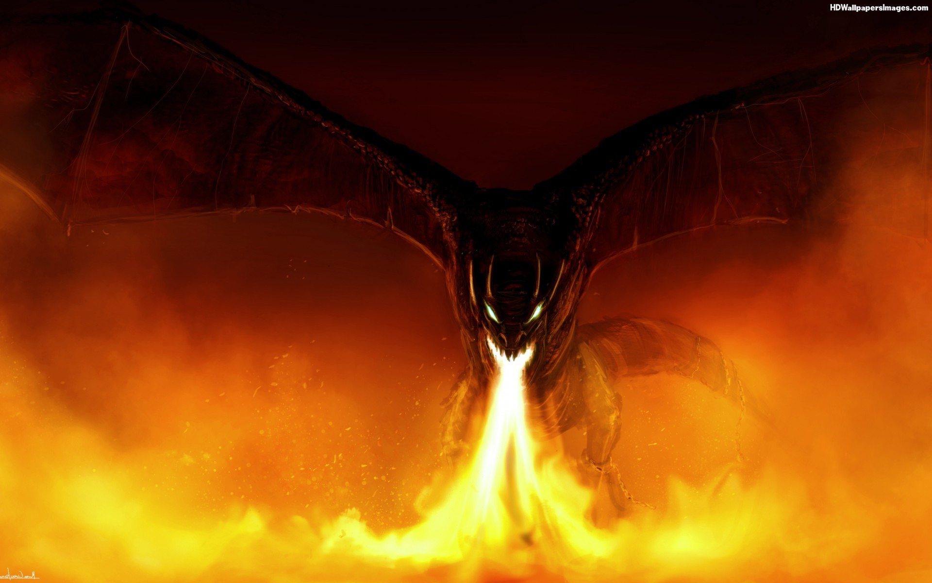 Dragon in Flame Monster Hunter Wallpapers