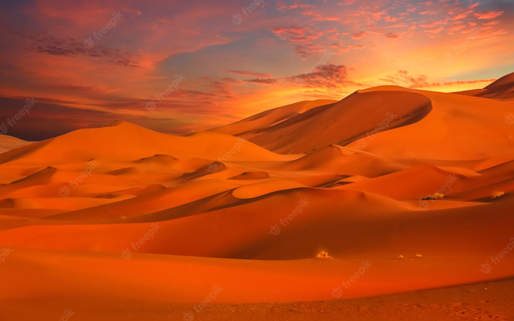 Dune HD Starsand Wallpapers