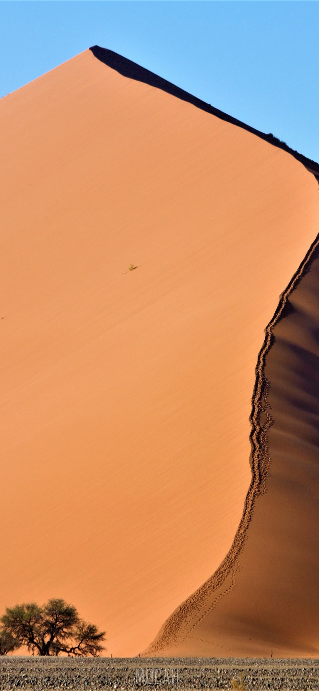 Dune HD Starsand Wallpapers