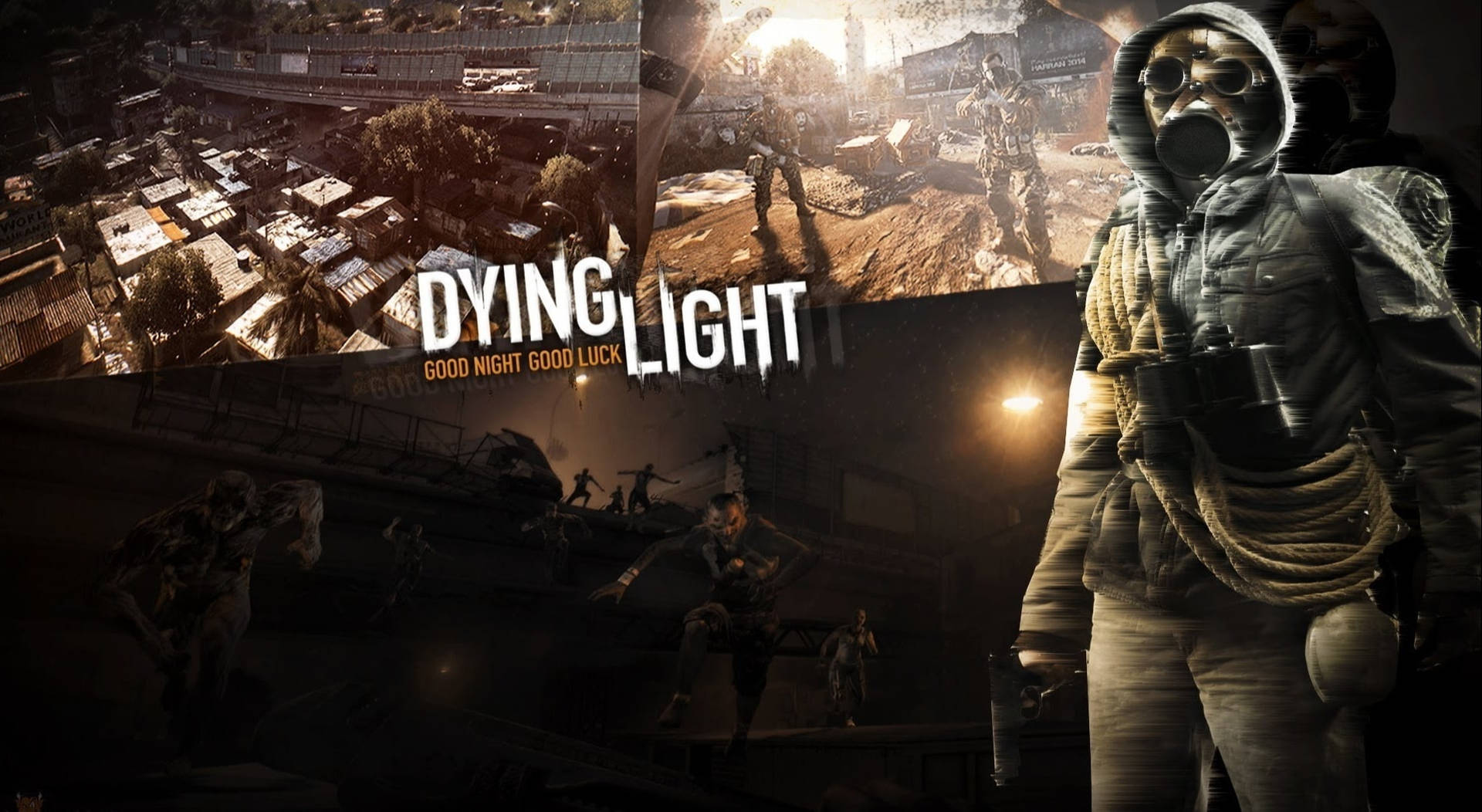 Dying Light Wallpapers