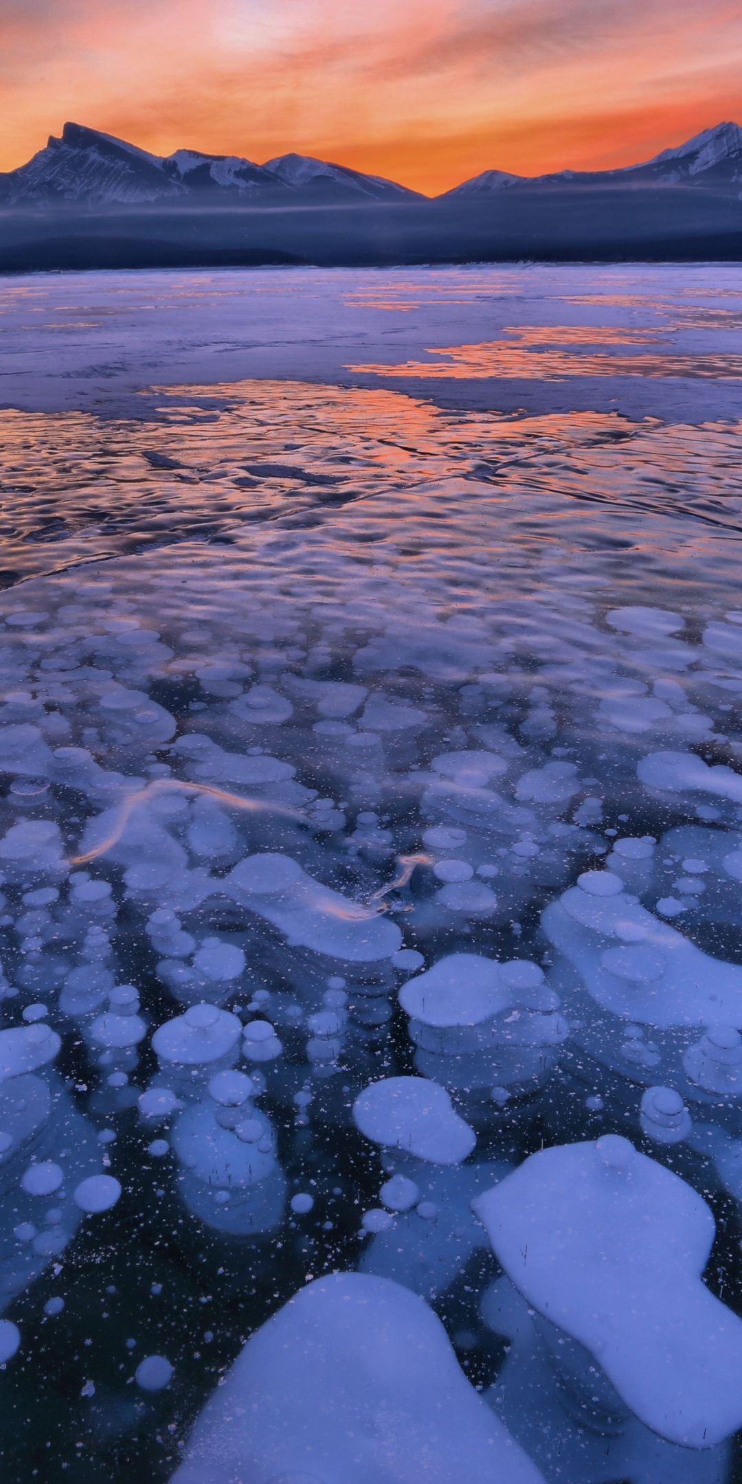 Frozen Lake Scavengers Wallpapers