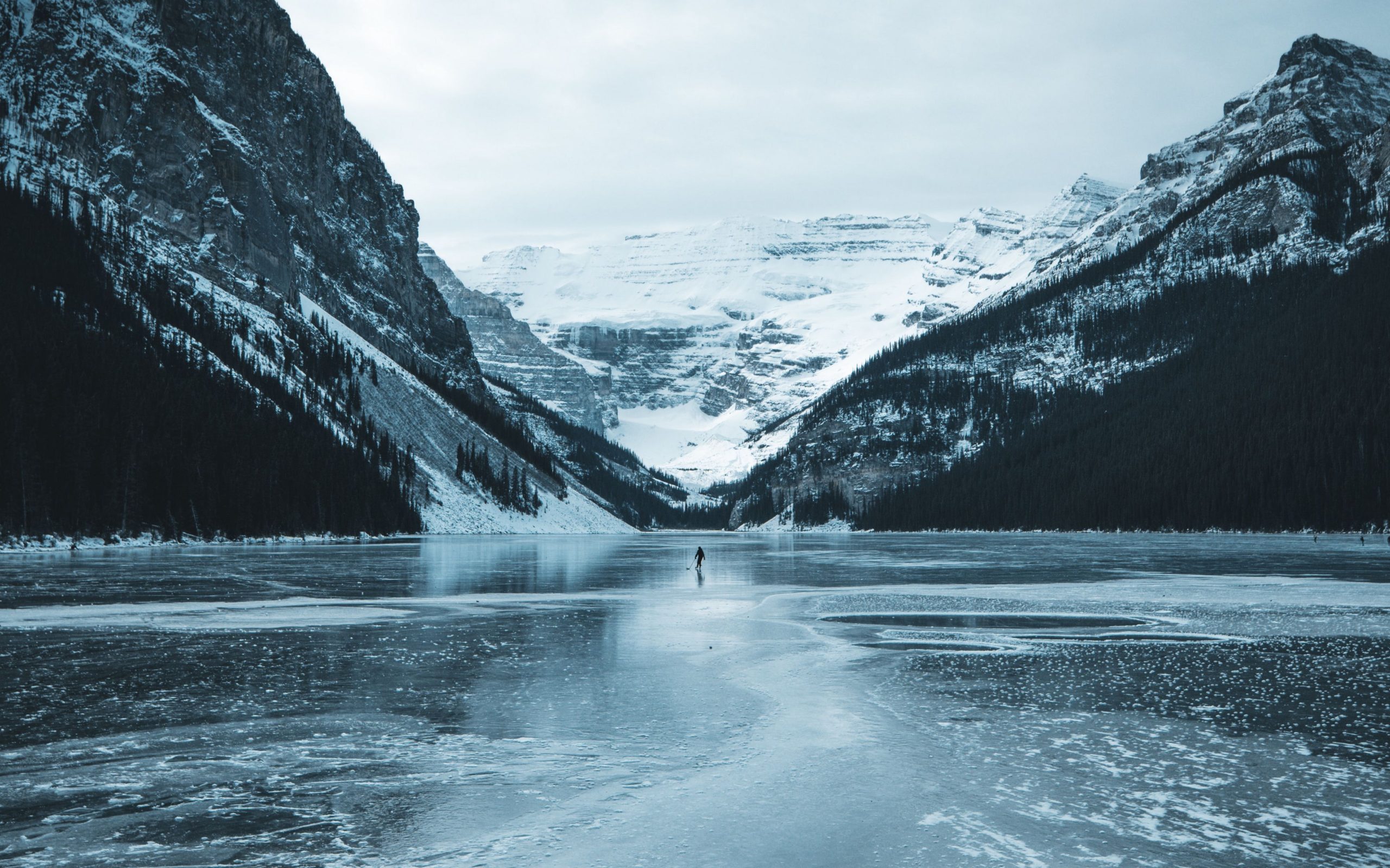 Frozen Lake Scavengers Wallpapers