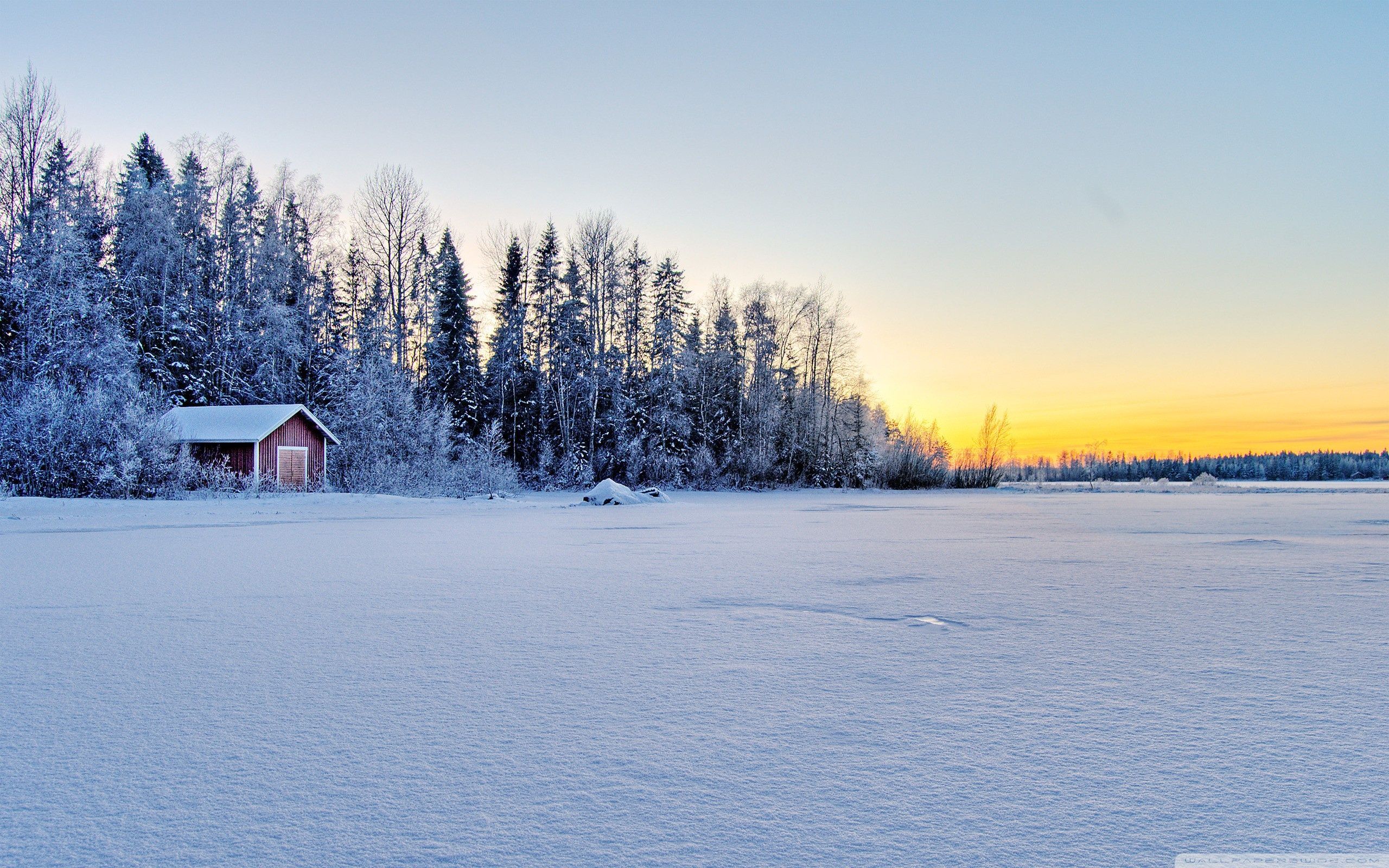 Frozen Lake Scavengers Wallpapers