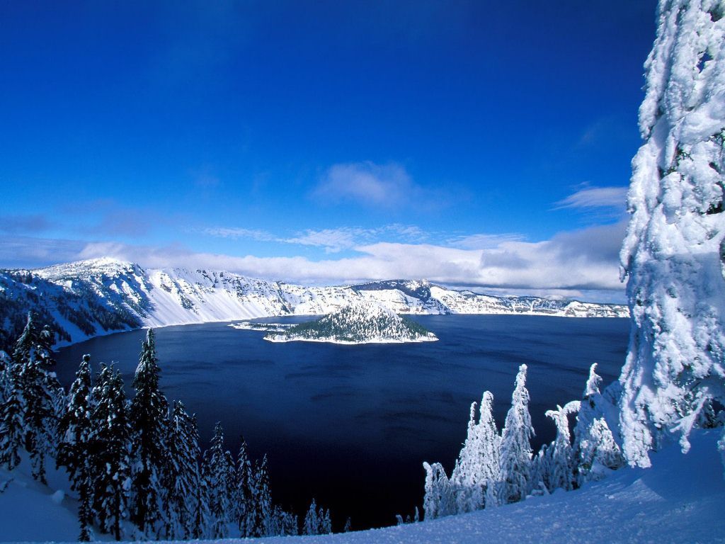 Frozen Lake Scavengers Wallpapers